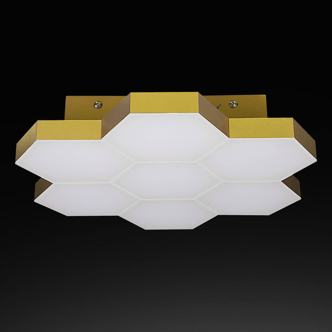 Картинка Потолочный светильник Lightstar Sote 750073