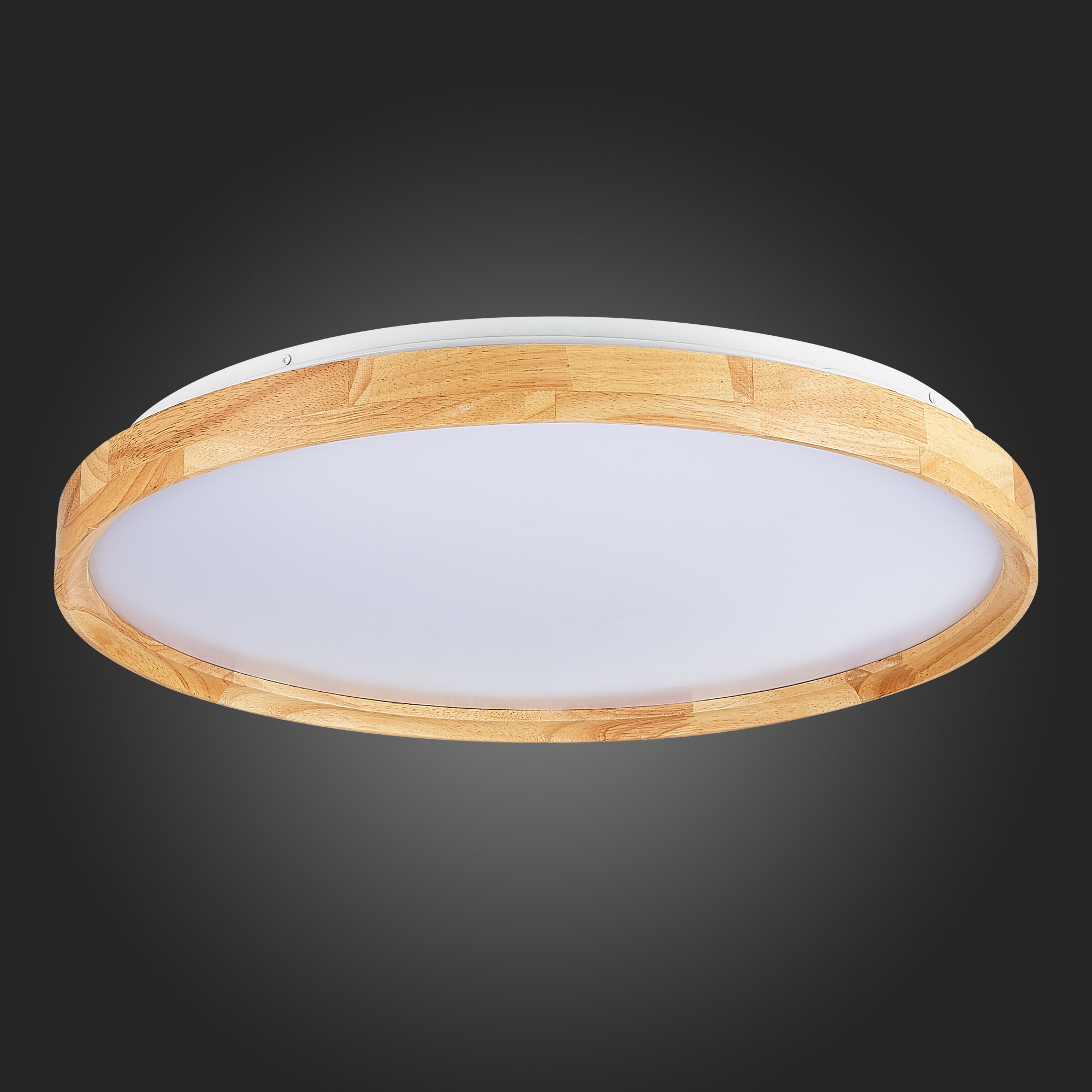 Картинка Потолочный сетодиодный светильник Evoluce Delia SLE201382-01