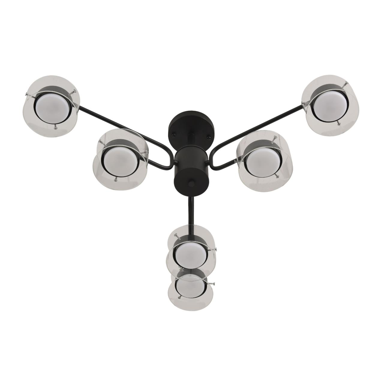 Картинка 8349/6C Lumion Люстра NATALINA