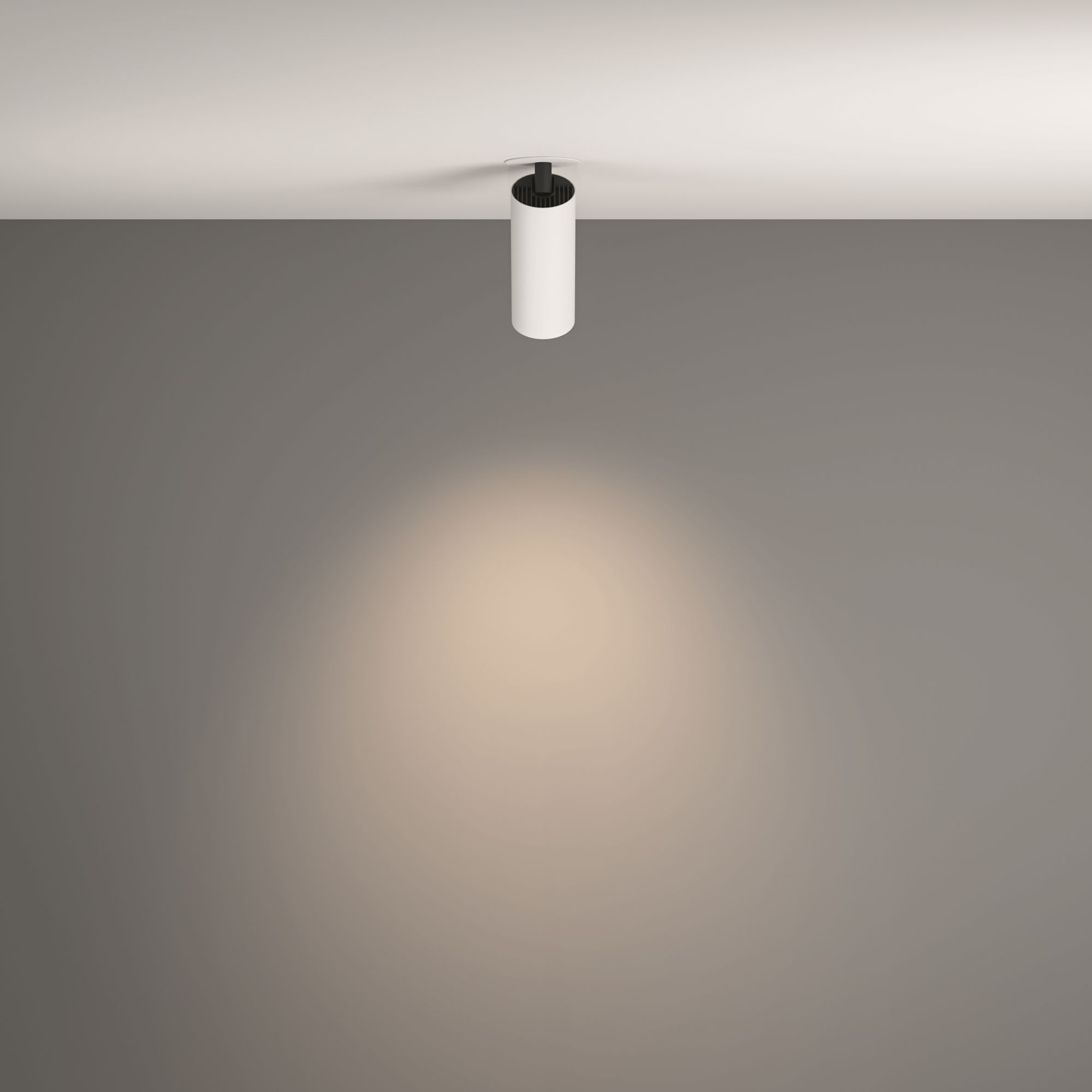 Картинка Потолочный светильник Technical C053CL-L12W4K-W-W