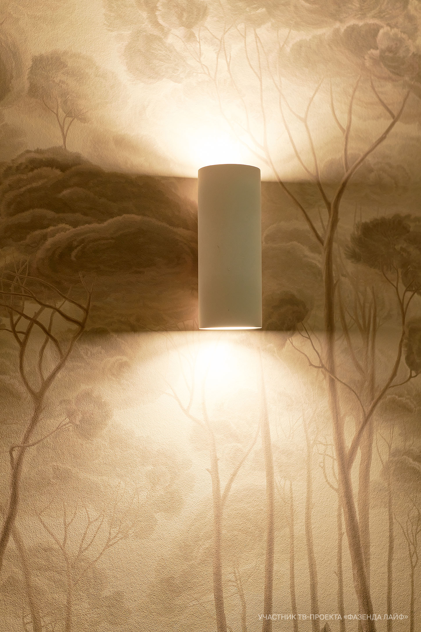 Картинка Светильник настенный Maytoni Parma C191-WL-02-W