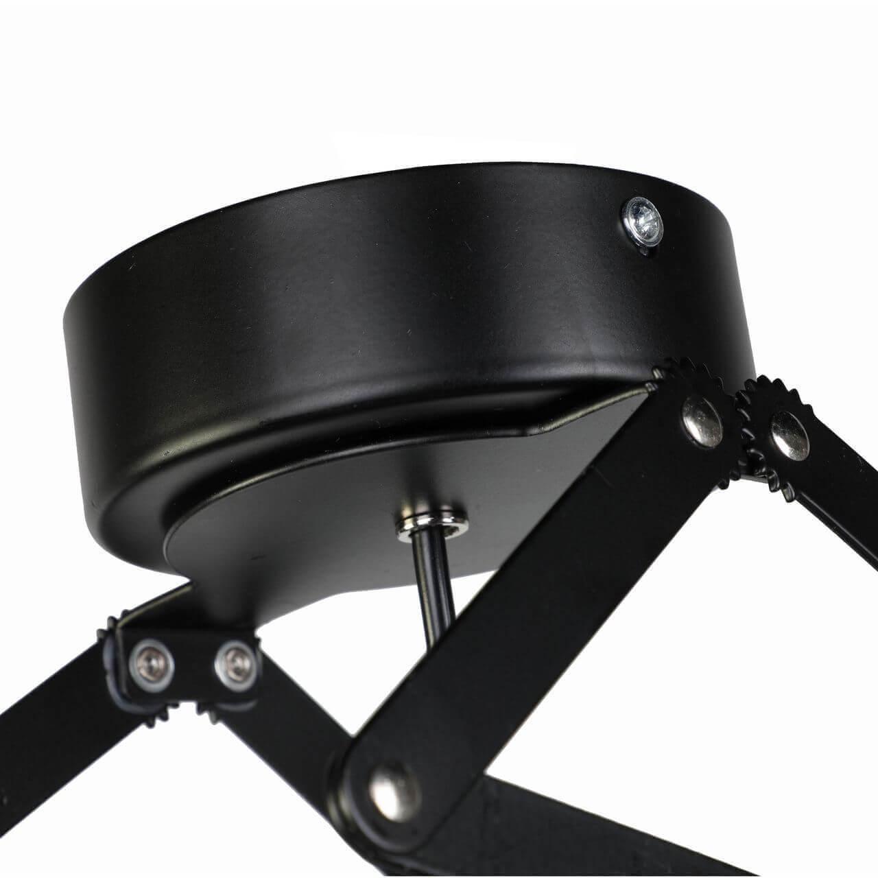 Картинка Подвесной светодиодный светильник Favourite Limelight 2070-1U