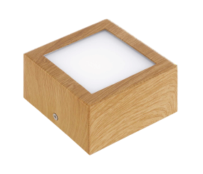 Картинка Спот COLEGIO  LED/1*4.2W
