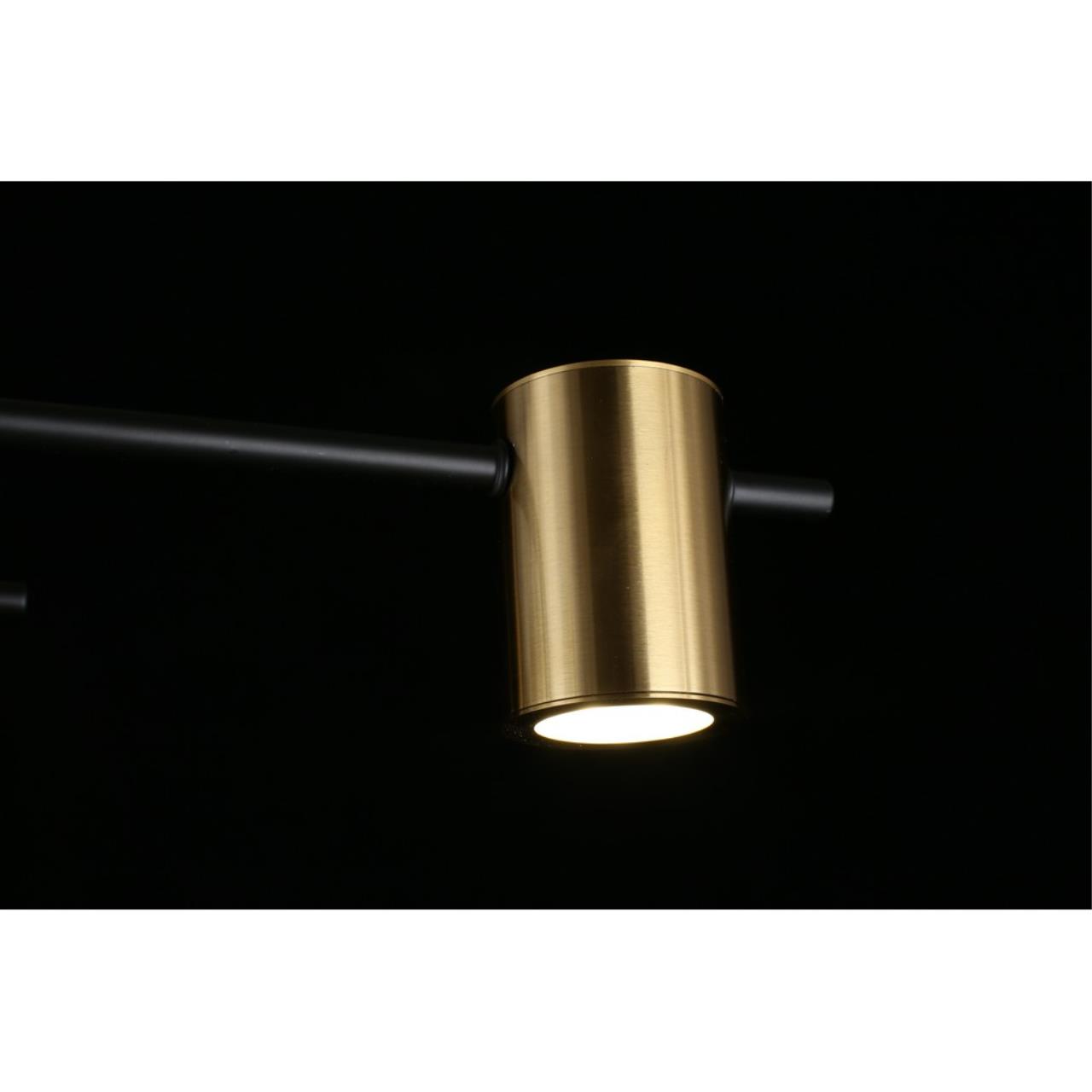 Картинка Потолочная люстра Aployt Elwisia APL.633.07.08