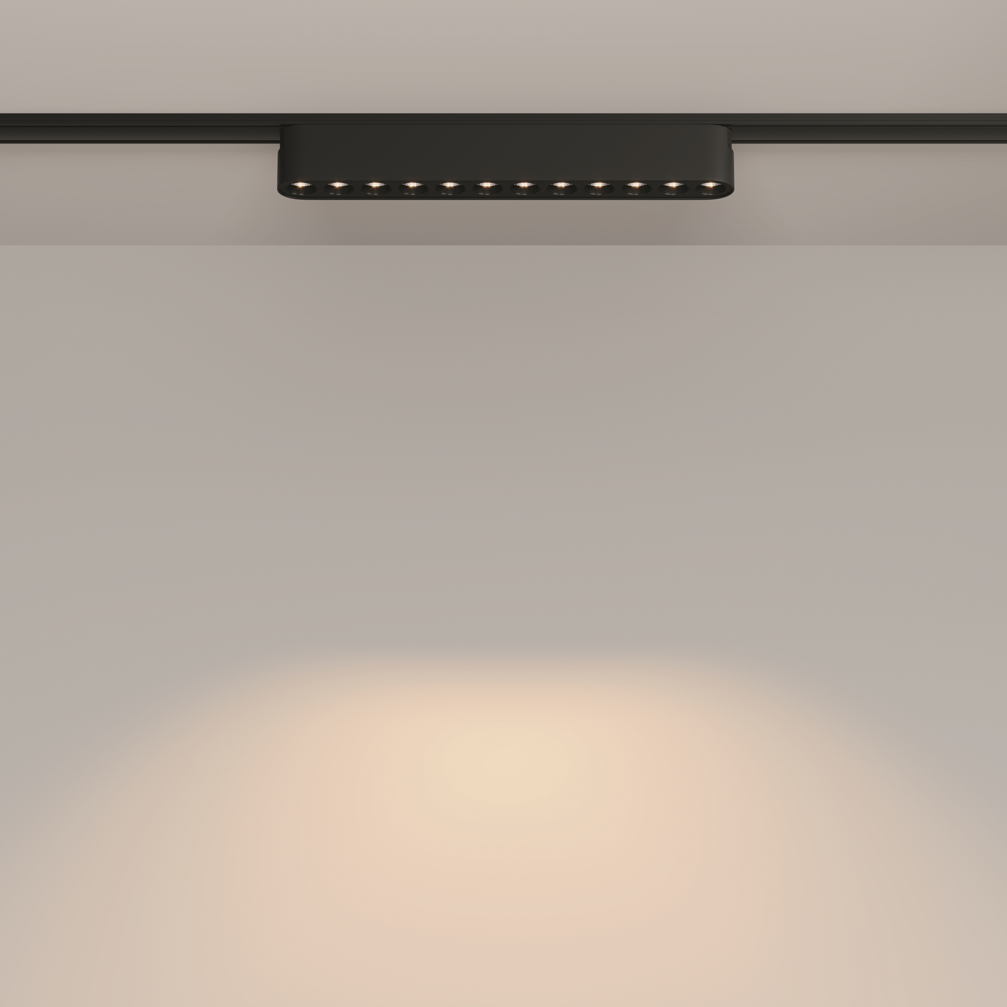 Картинка Трековый светильник Technical TR082-1-12W3K-M-B