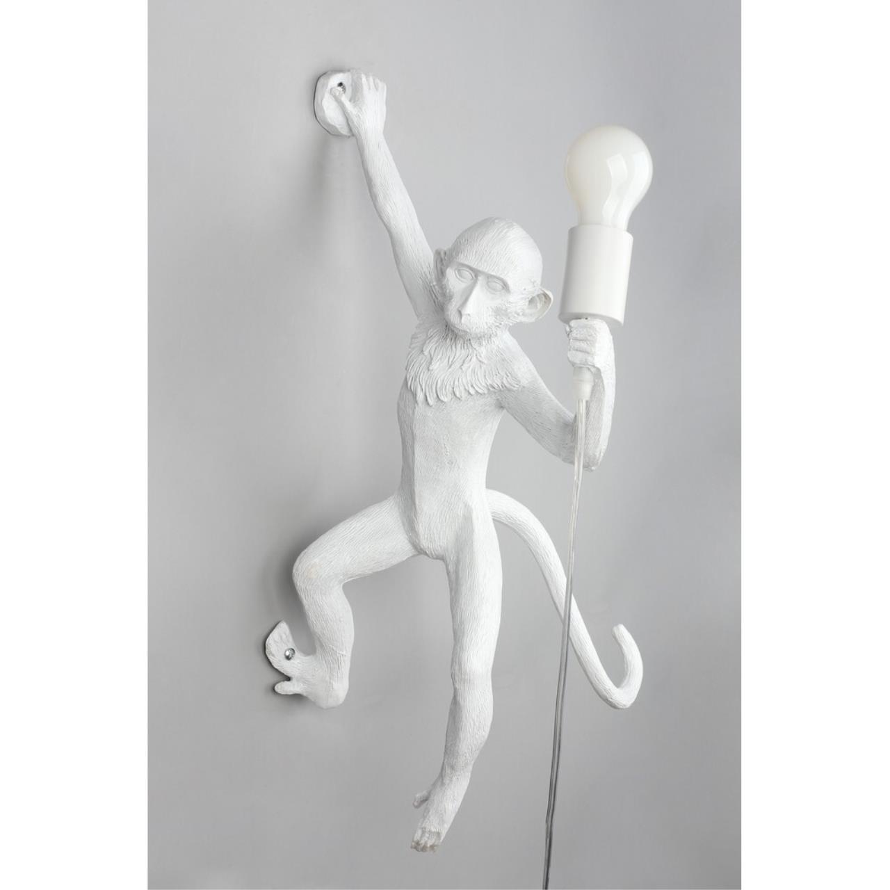 Картинка APL.309.11.01 Бра настенное Aployt Magali