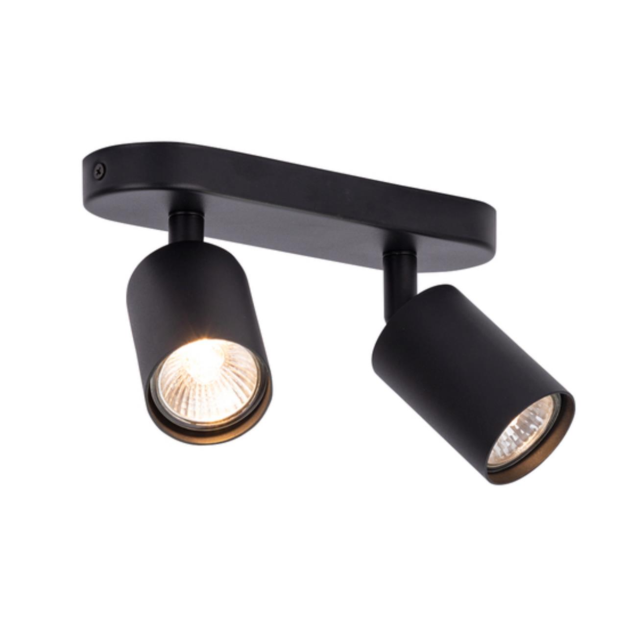 Картинка Потолочный светильник Arte Lamp AQUARIUS A3226PL-2BK