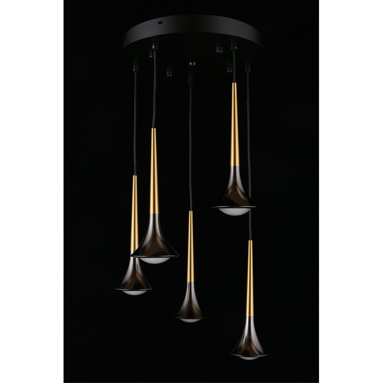 Картинка APL.784.06.05 Светильник подвесной Aployt Agas