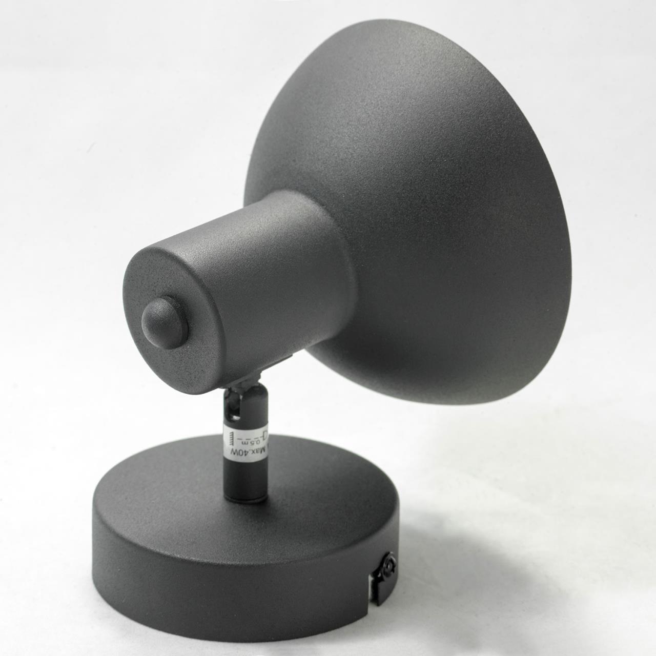 Картинка Спот Lussole Loft LSP-9973