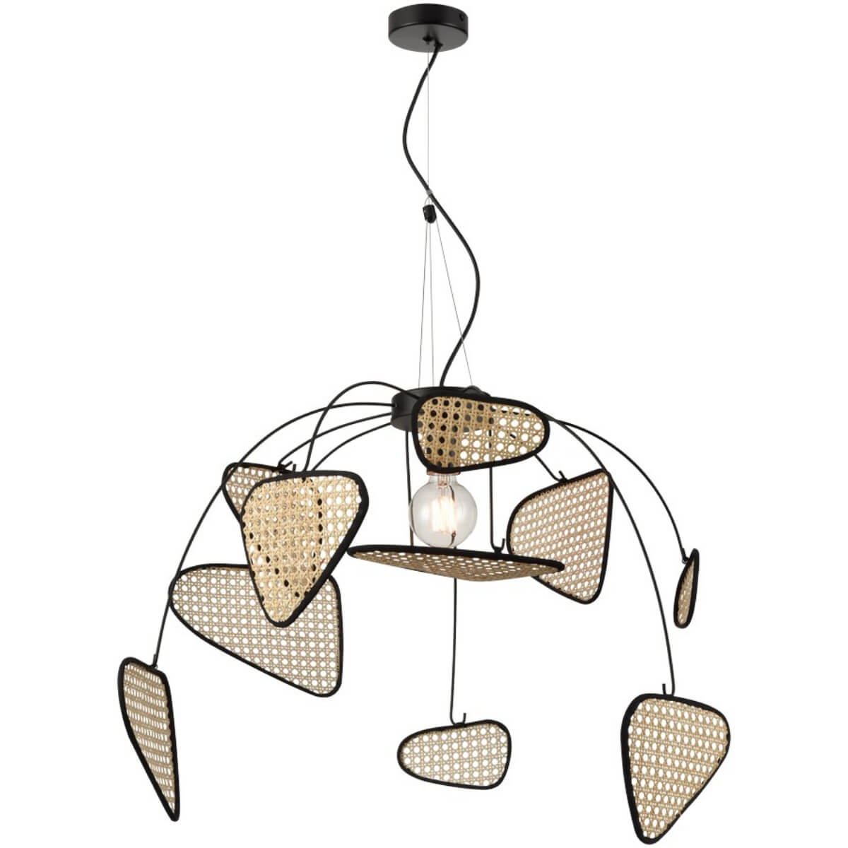 Картинка Подвесной светильник Wertmark PALMA WE520.01.713