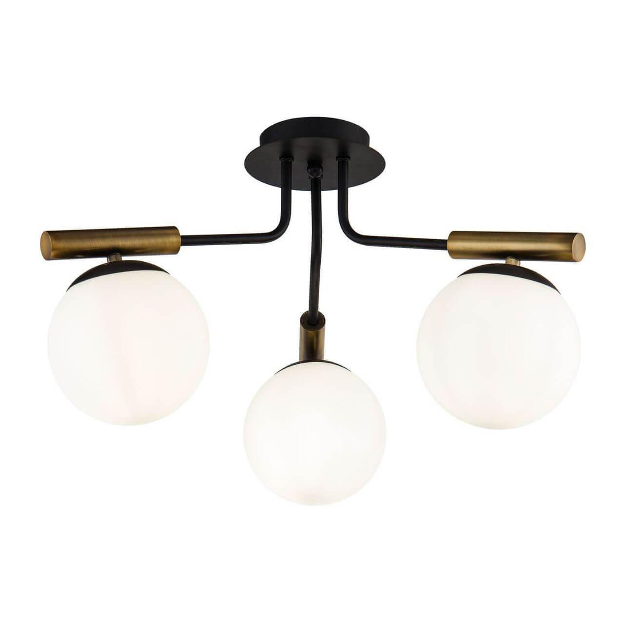 Картинка Потолочная люстра Freya Paolina FR5011CL-03B