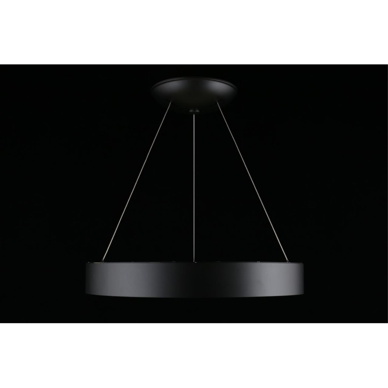 Картинка APL.052.13.60 Светильник подвесной светодиодный Aployt Michell