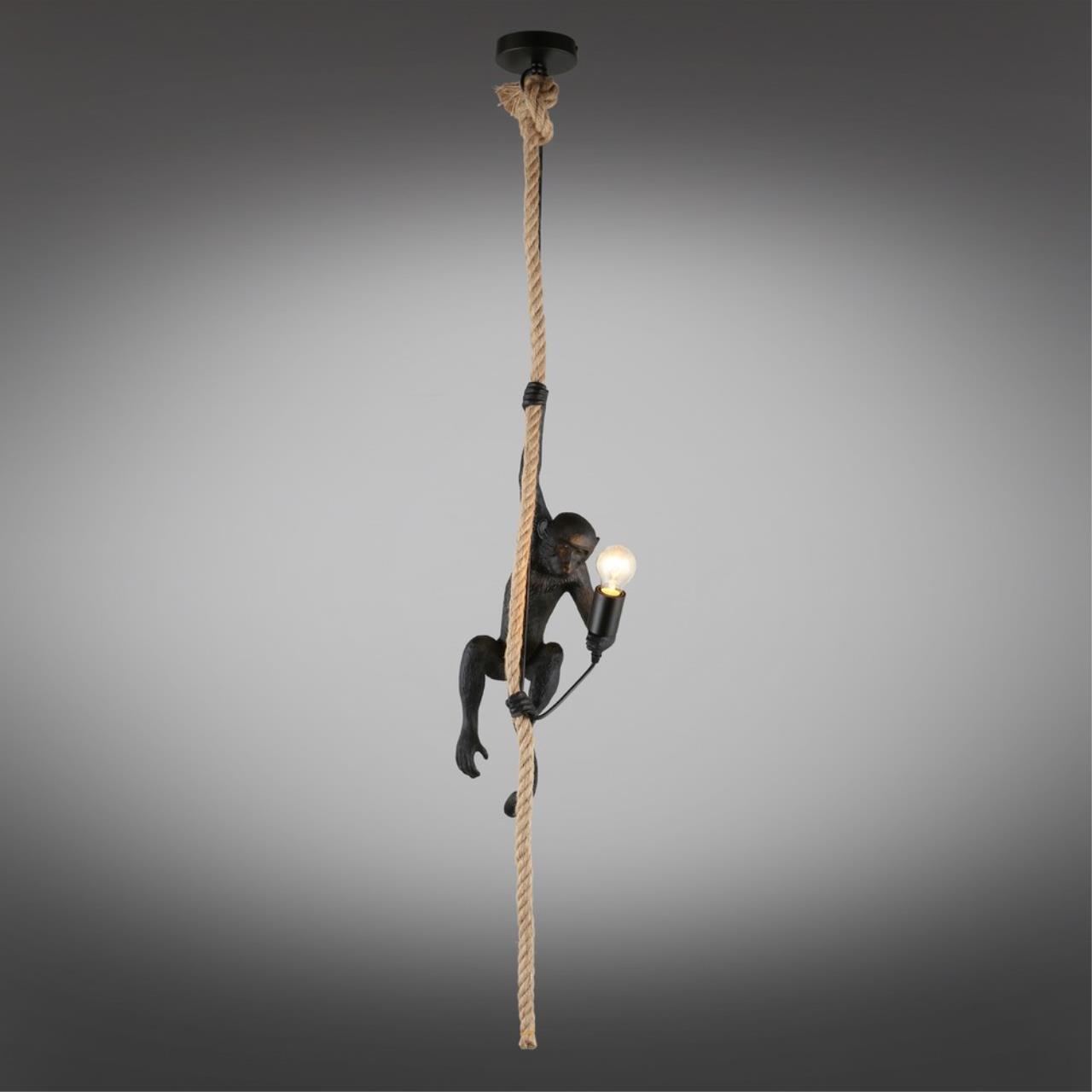 Картинка Подвесной светильник Aployt Magali APL.309.16.01