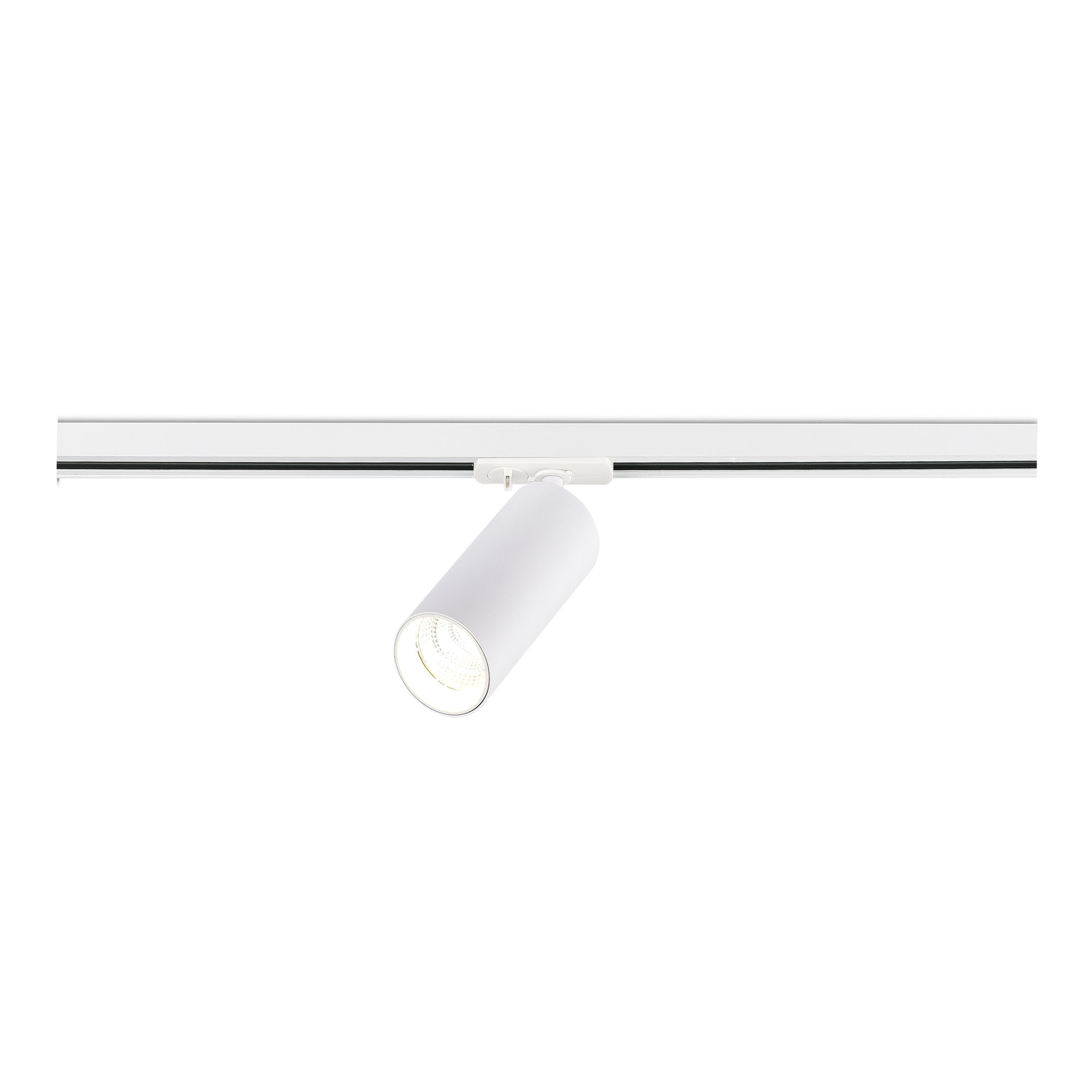 Картинка ST382.546.20.TRIAC Трековый светильник ST-Luce