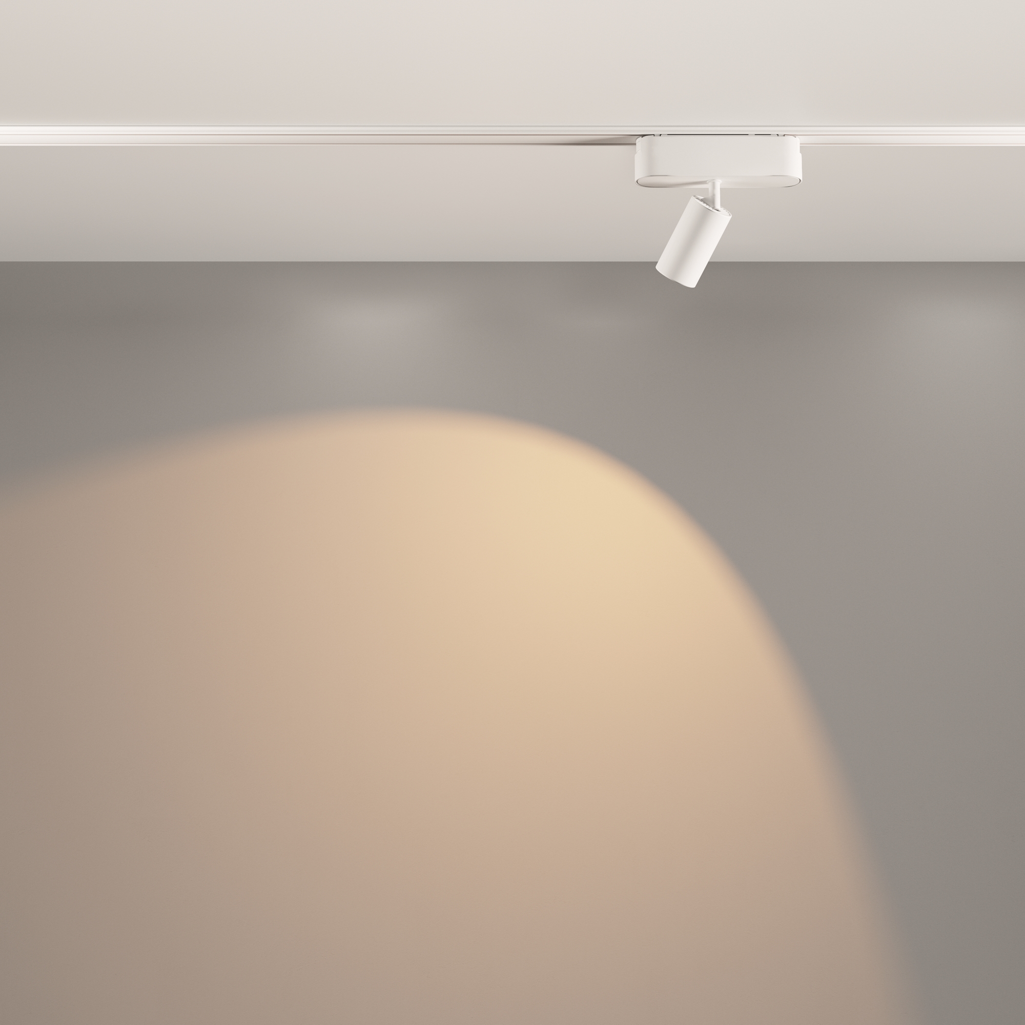 Картинка Трековый светильник Technical TR103-1-5W3K-M-W