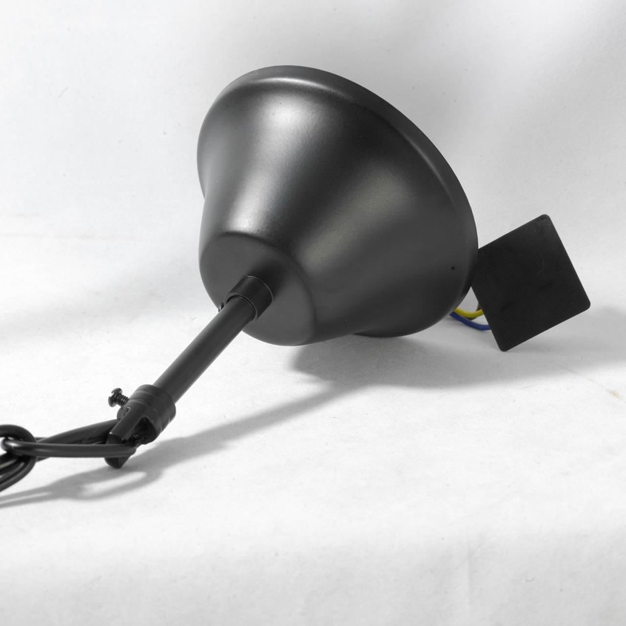 Картинка Подвесная люстра Lussole Lgo GRLSP-9954