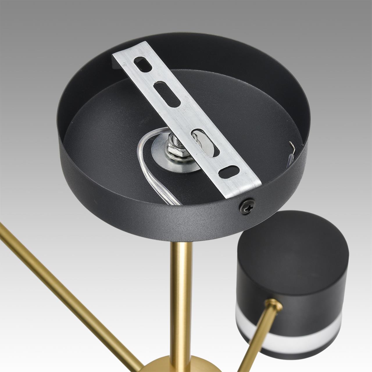 Картинка 8240/6C Lumion Люстра потолочная LANIKA