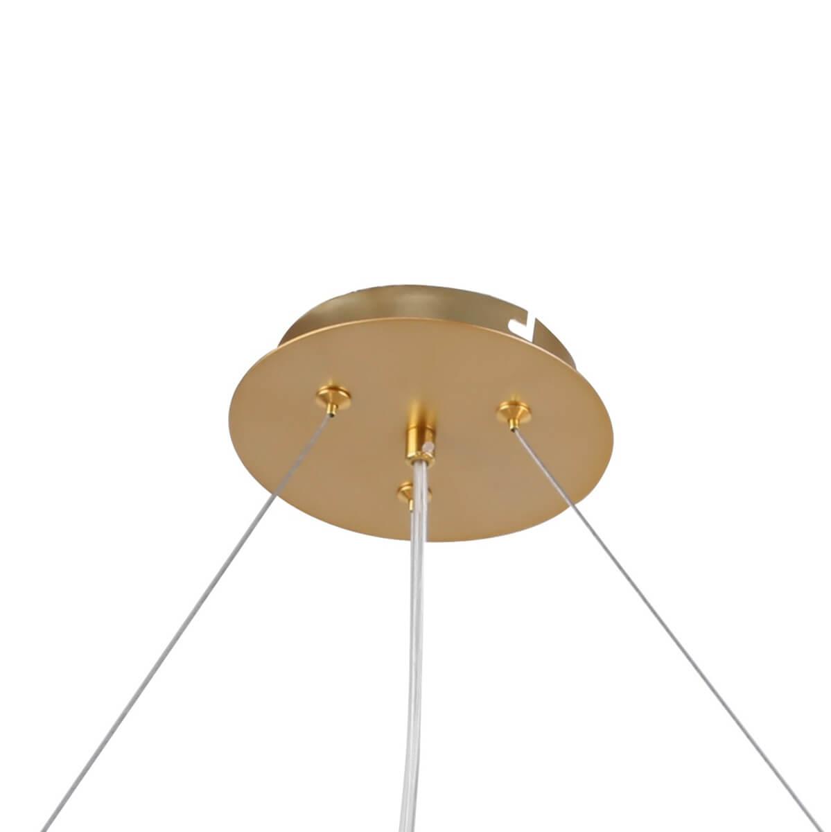 Картинка Подвесная люстра F-Promo Multy Bliss 2772-12P