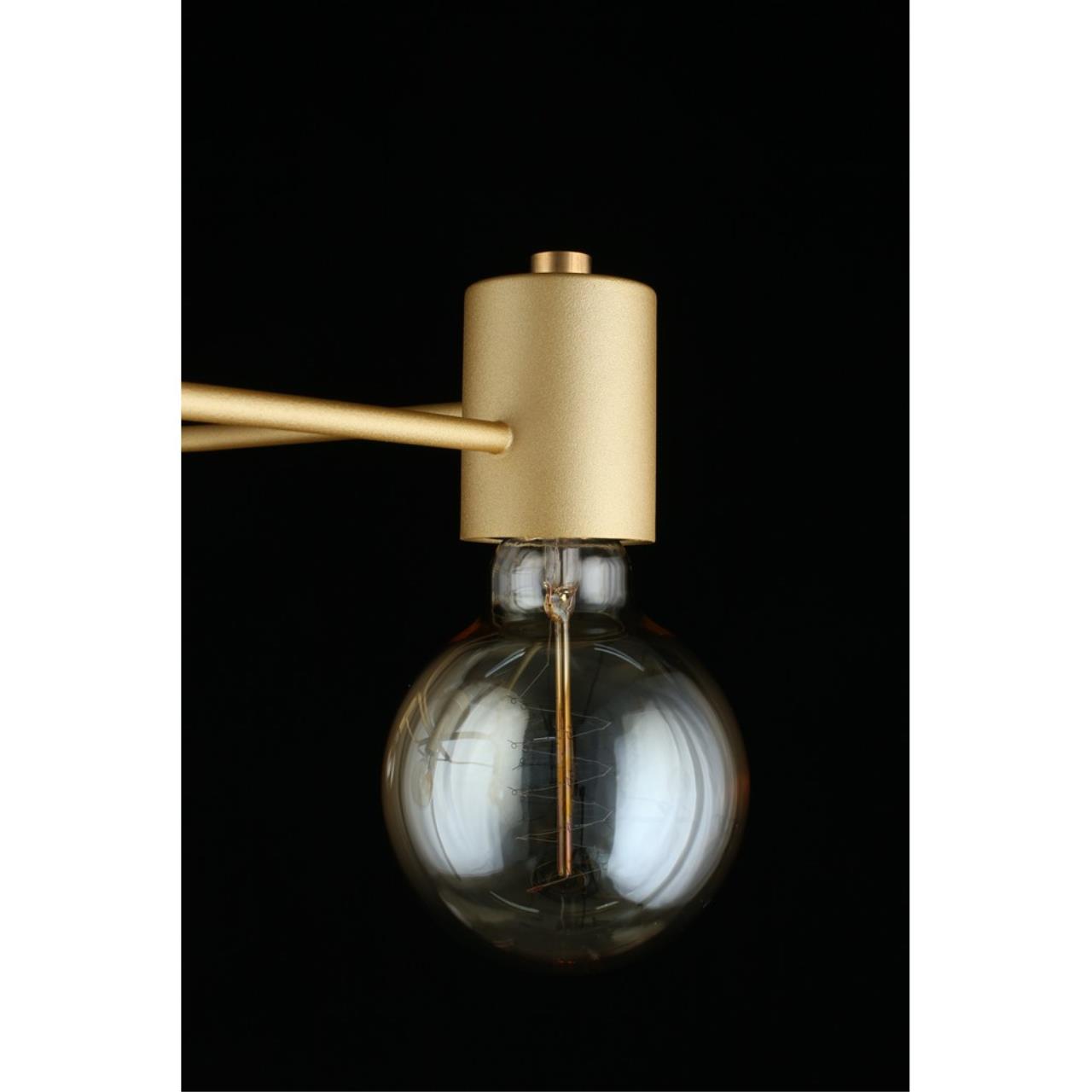 Картинка Потолочная люстра Aployt Elison APL.911.07.05