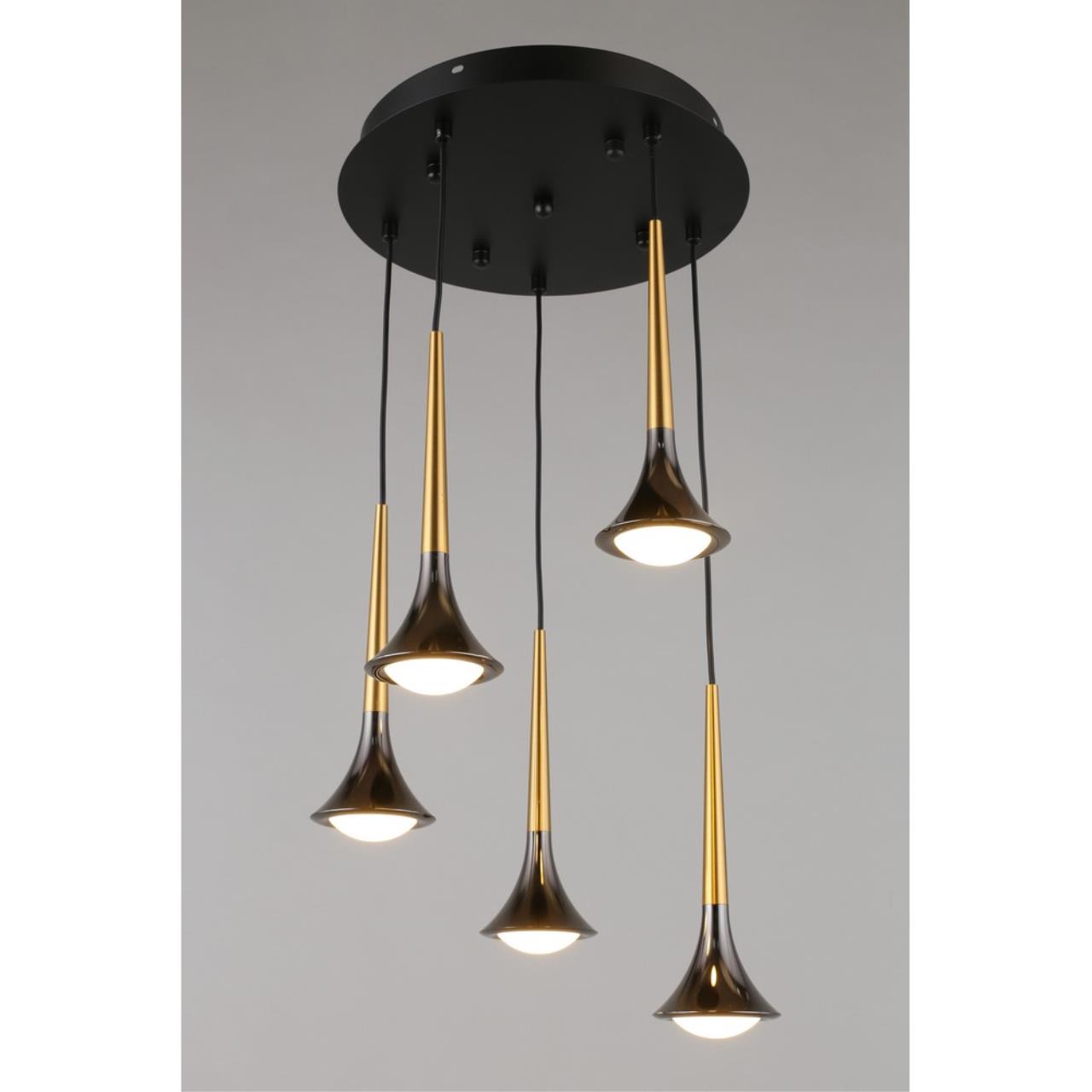 Картинка APL.784.06.05 Светильник подвесной Aployt Agas