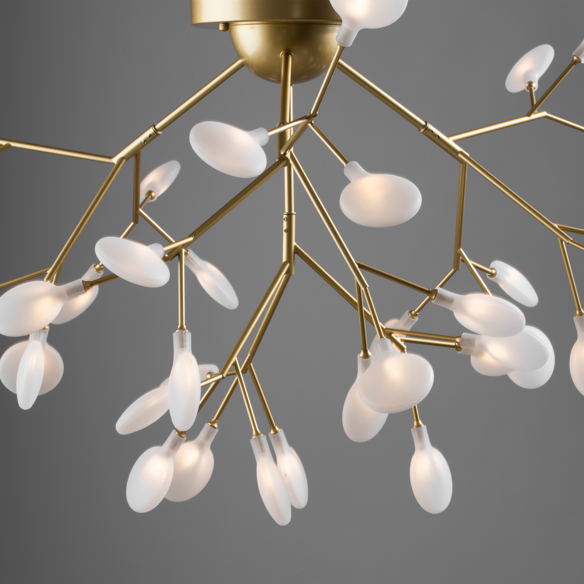 Картинка Потолочный светильник Freya FR5049CL-36G