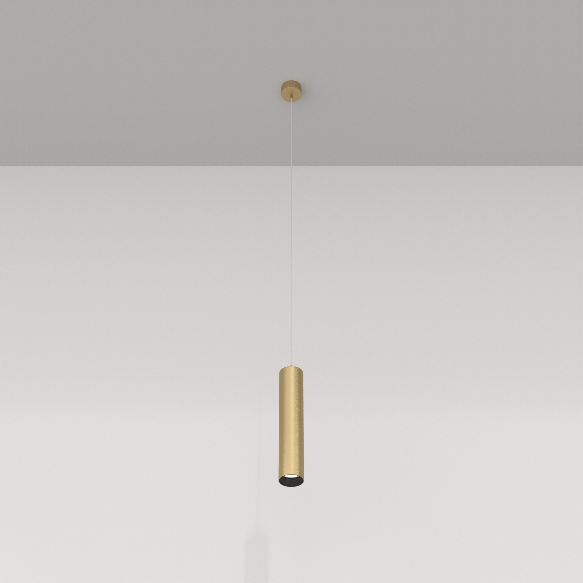 Картинка Подвесной светильник Technical P075PL-01MG