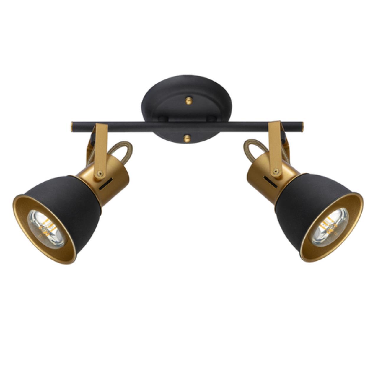 Потолочный светильник Arte Lamp JOVI A1677PL-2GO