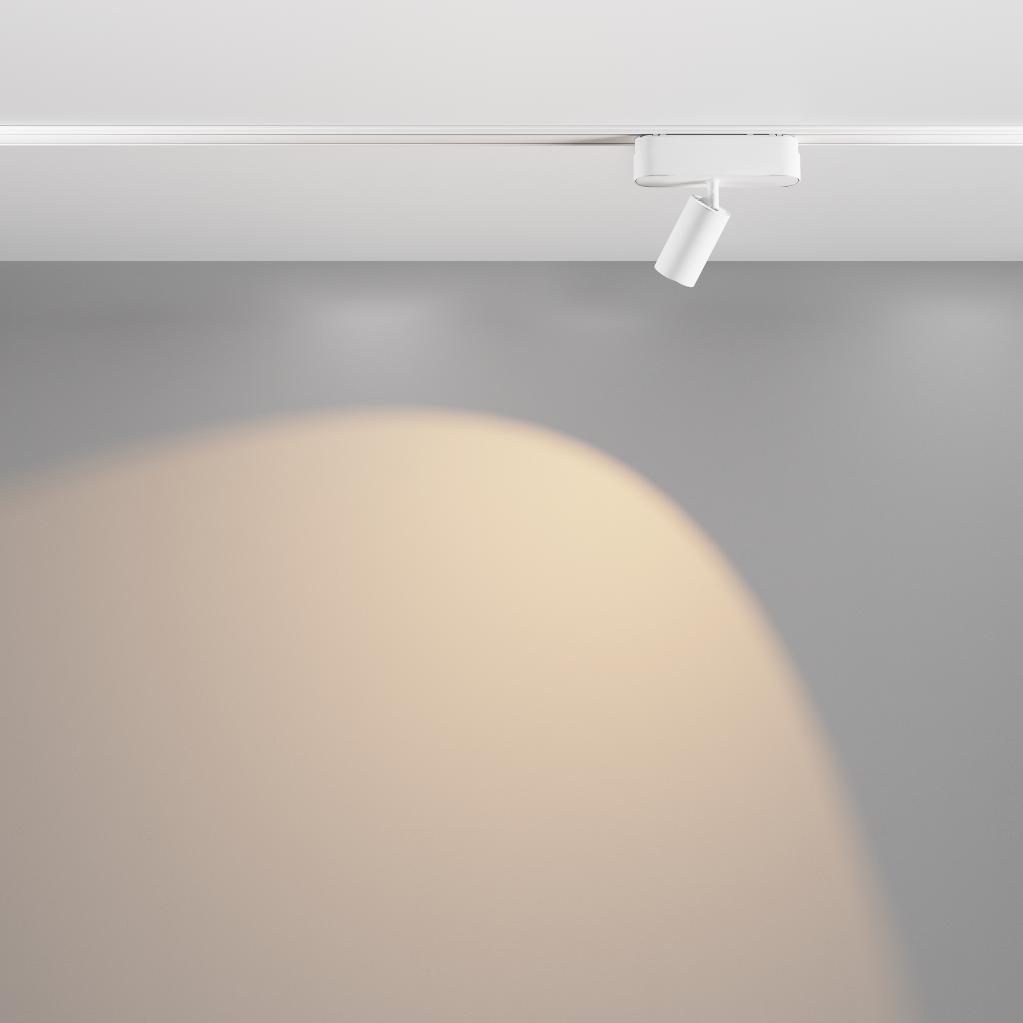 Картинка Трековый светильник Technical TR103-1-5W3K-M-W