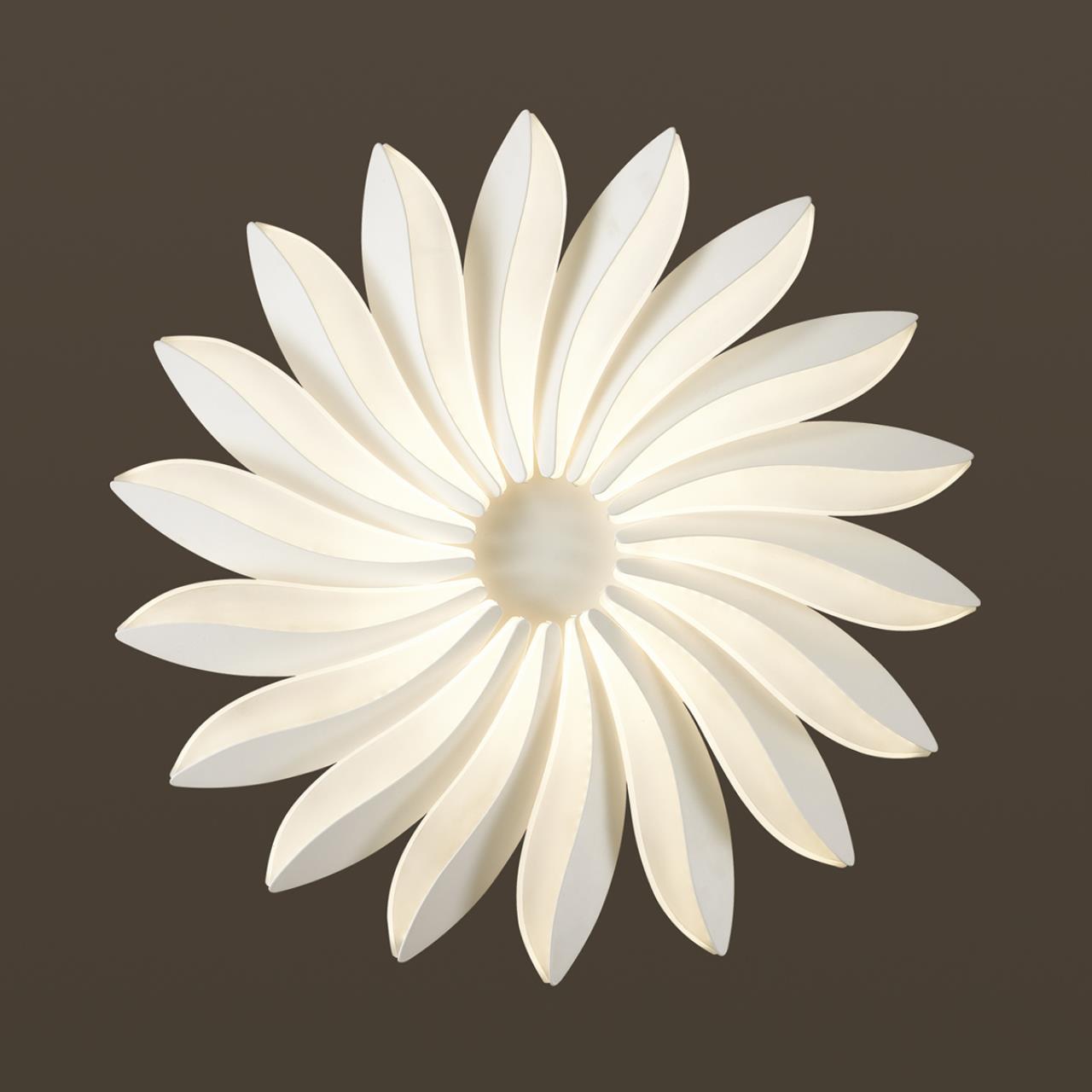 Картинка Потолочный светодиодный светильник Odeon Light Maya 4174/86CL