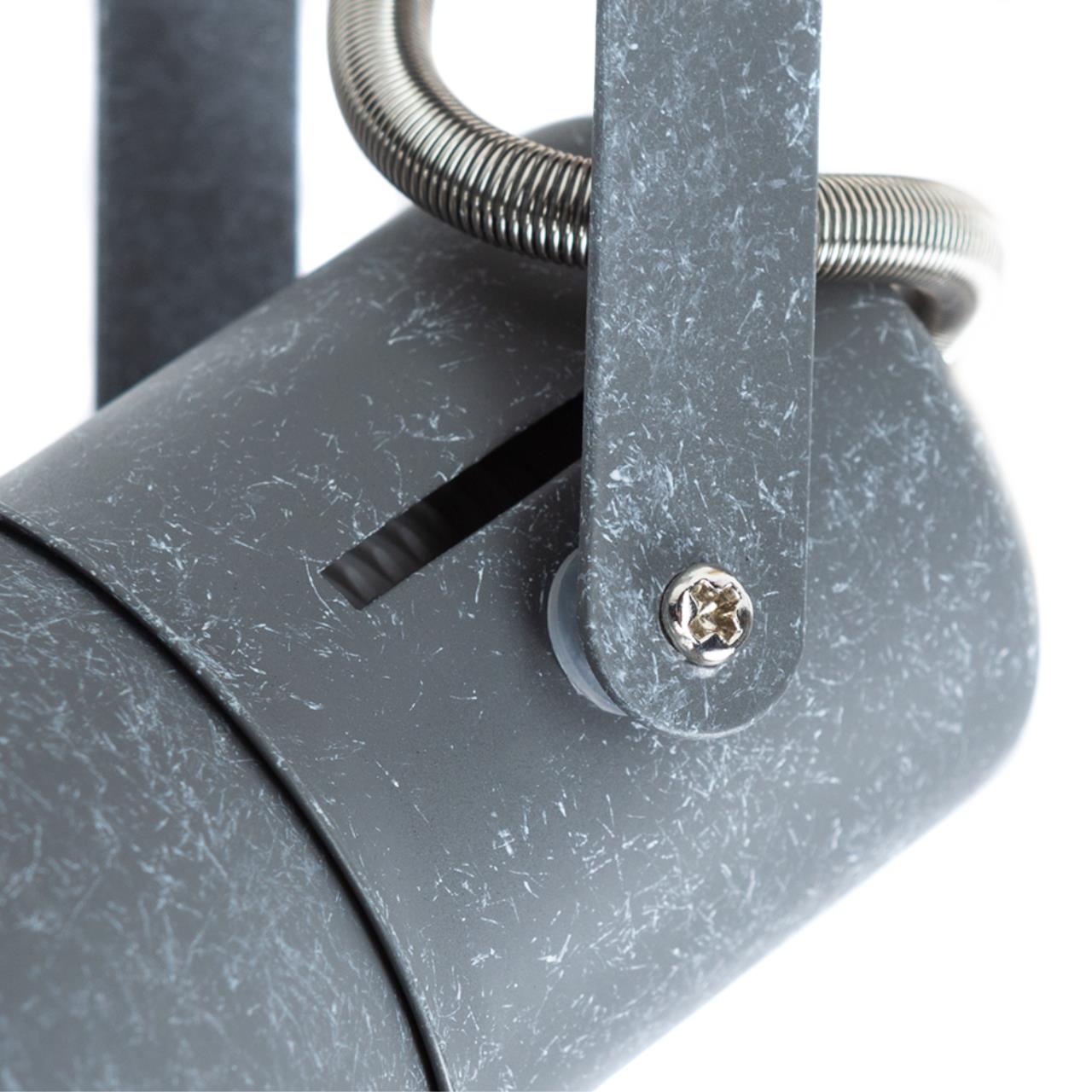 Картинка Спот Arte Lamp A1677PL-2GY