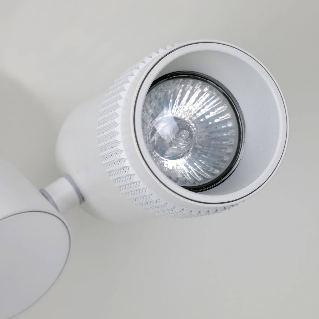 Картинка Спот Favourite Kinescope 2453-1U