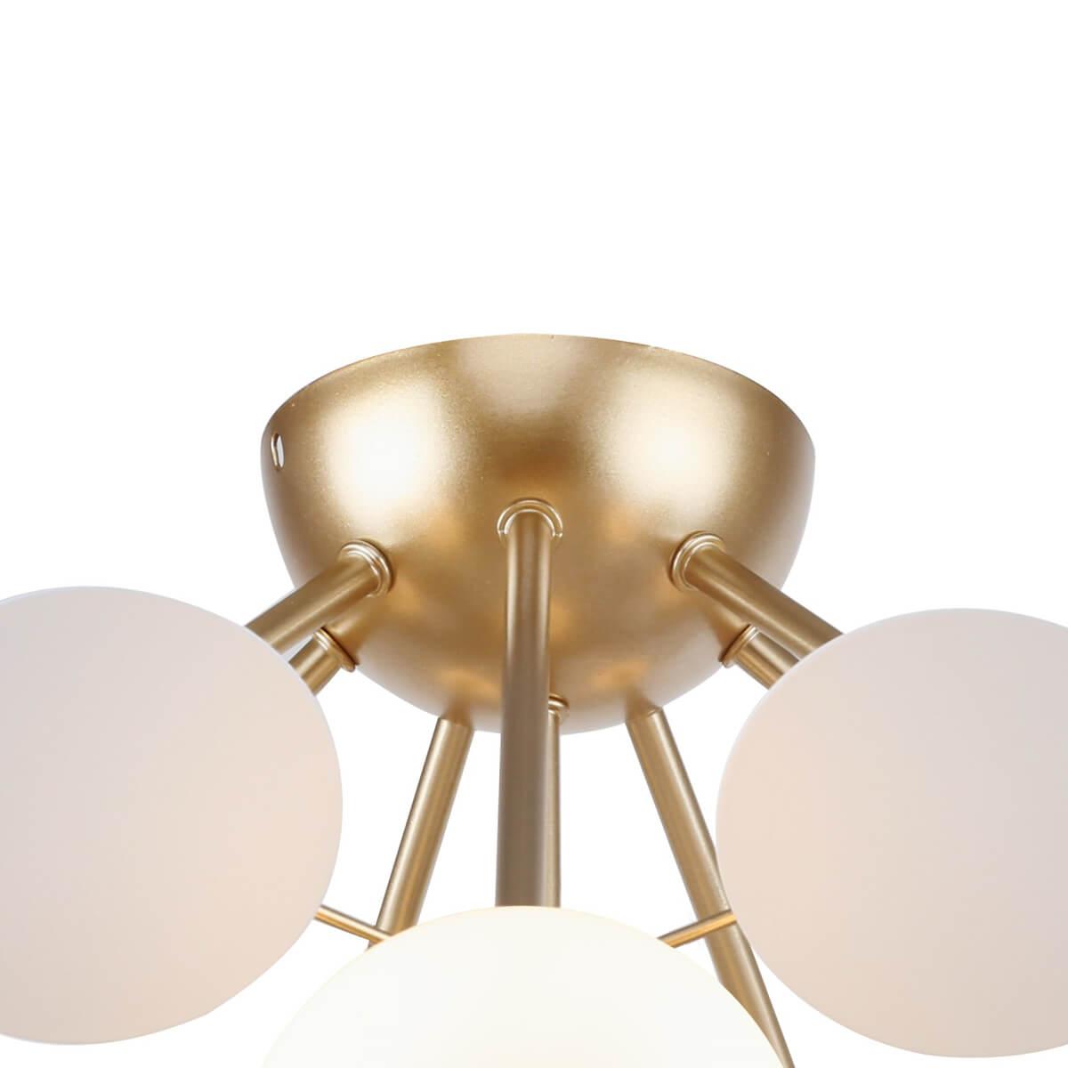 Картинка Потолочная люстра F-Promo Bliss 2771-8P