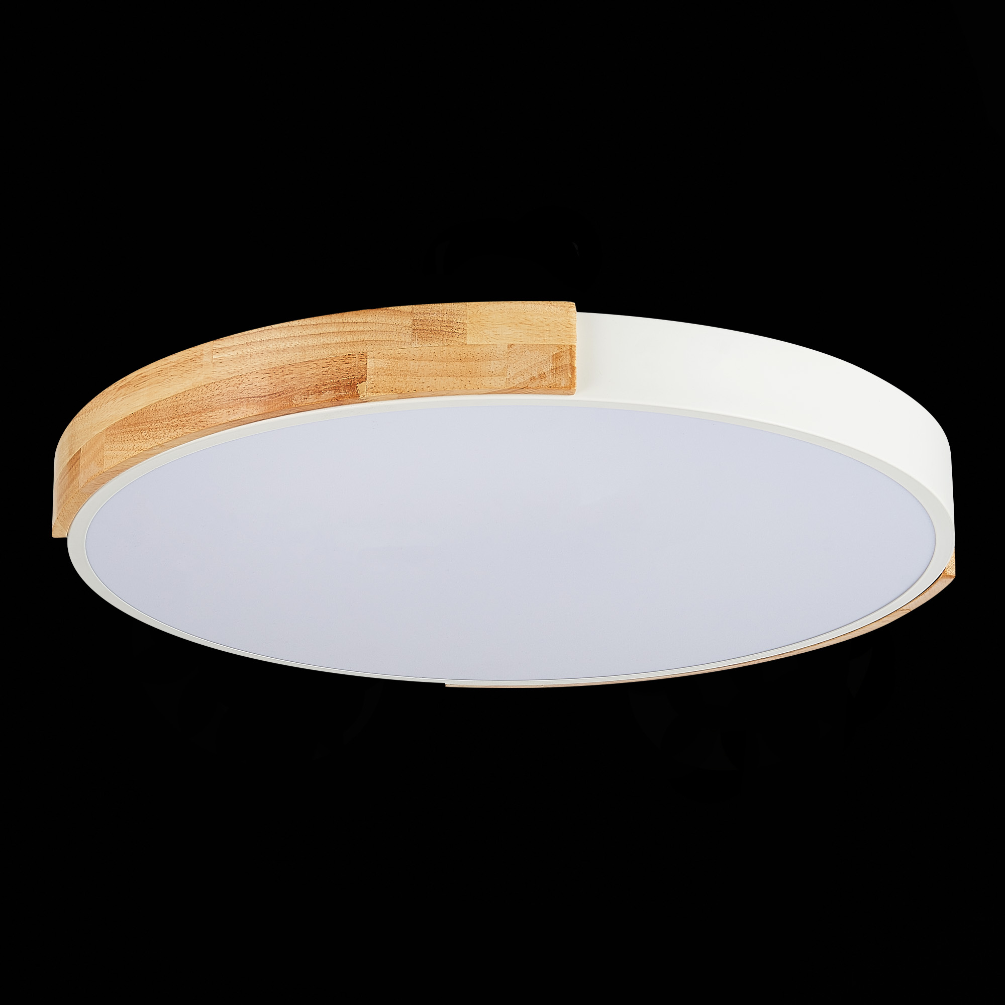 Картинка Потолочный сетодиодный светильник Evoluce Delia SLE201352-01