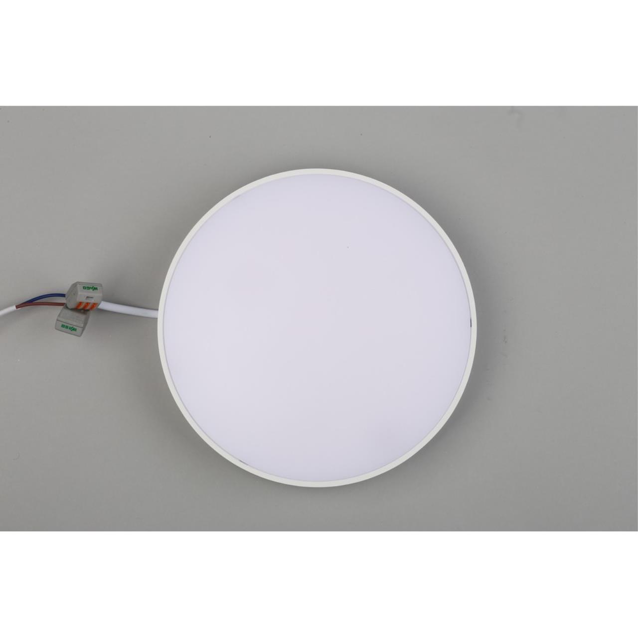 Картинка Потолочный светодиодный светильник Aployt Evon APL.0114.09.24