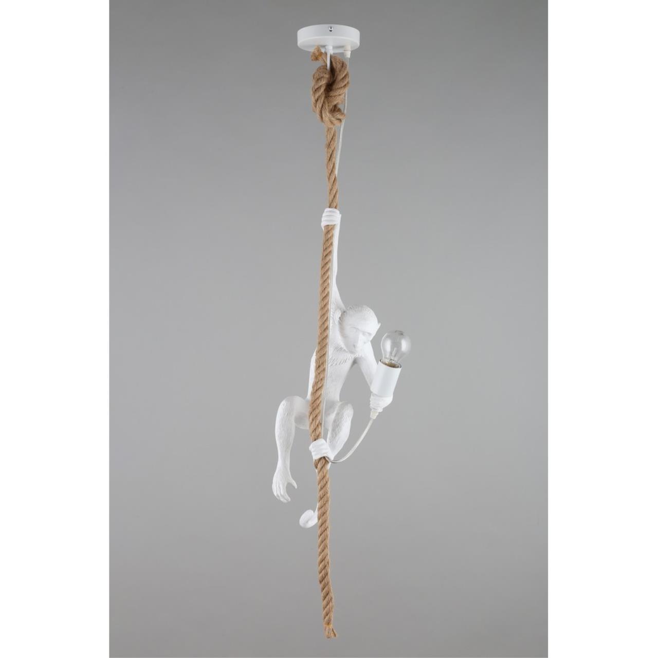 Картинка Подвесной светильник Aployt Magali APL.309.06.01