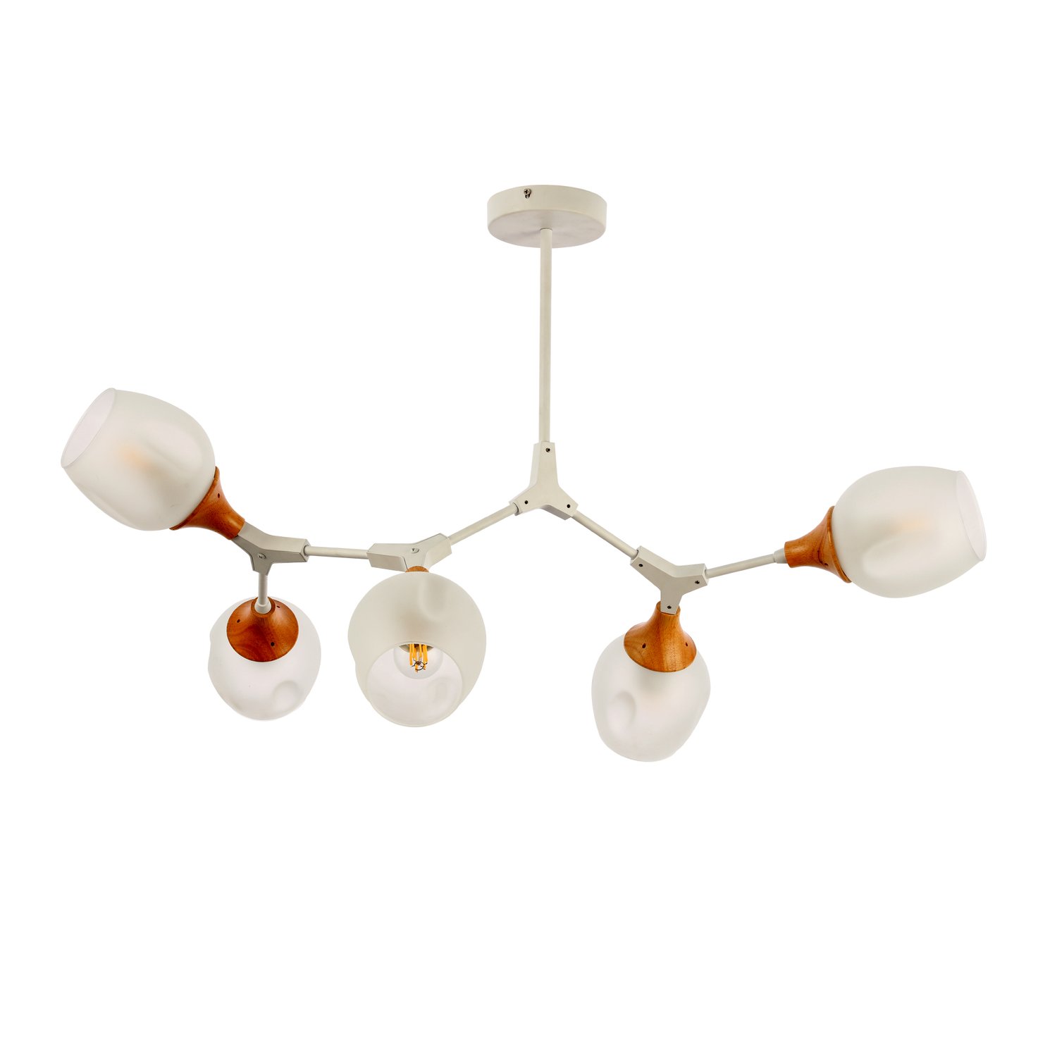 Картинка Потолочная люстра Evoluce Ciotolla SLE113502-05