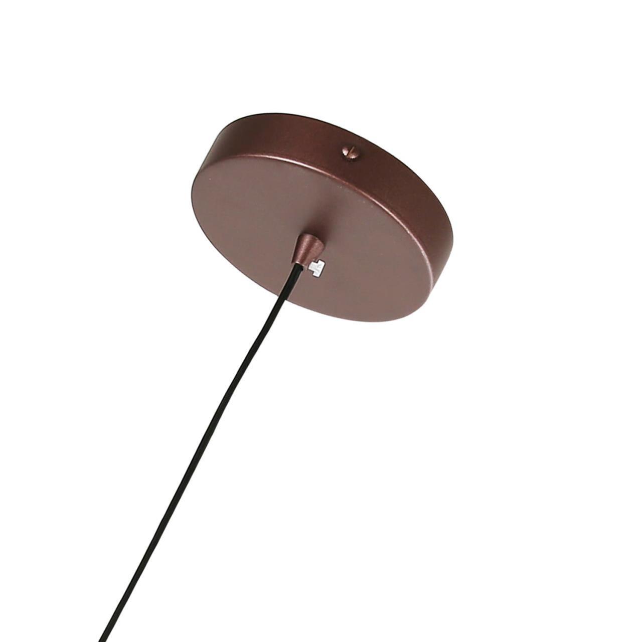 Картинка Подвесной светильник Favourite Otium 2215-1P