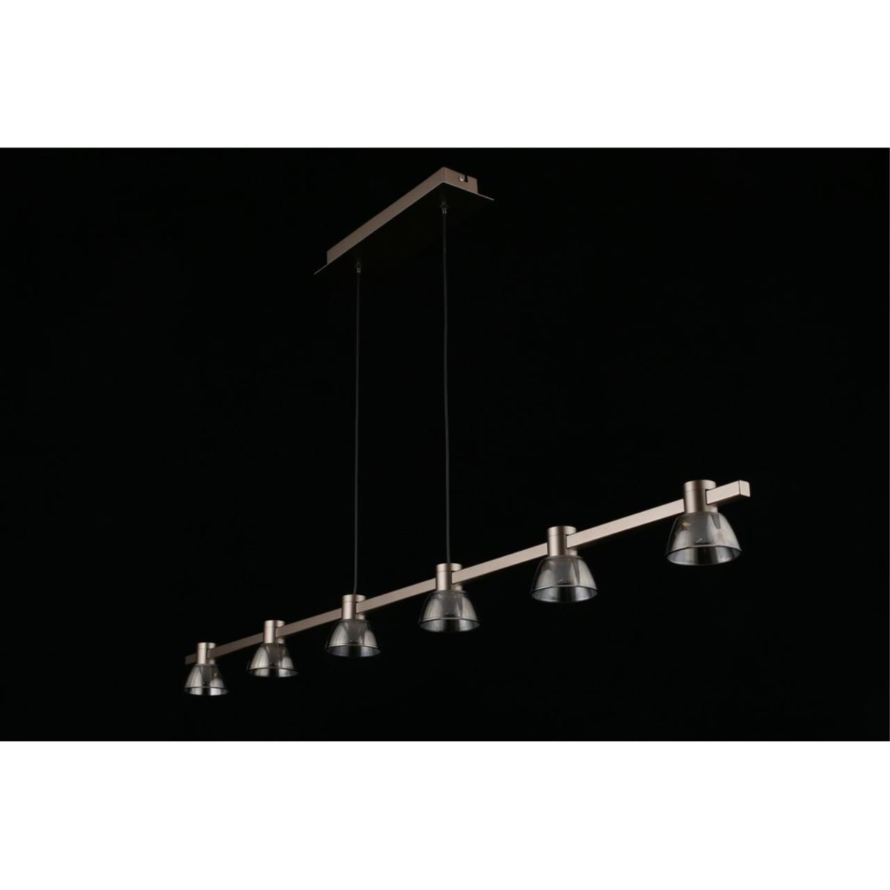 Картинка APL.788.03.06 Светильник подвесной Aployt Rezeda