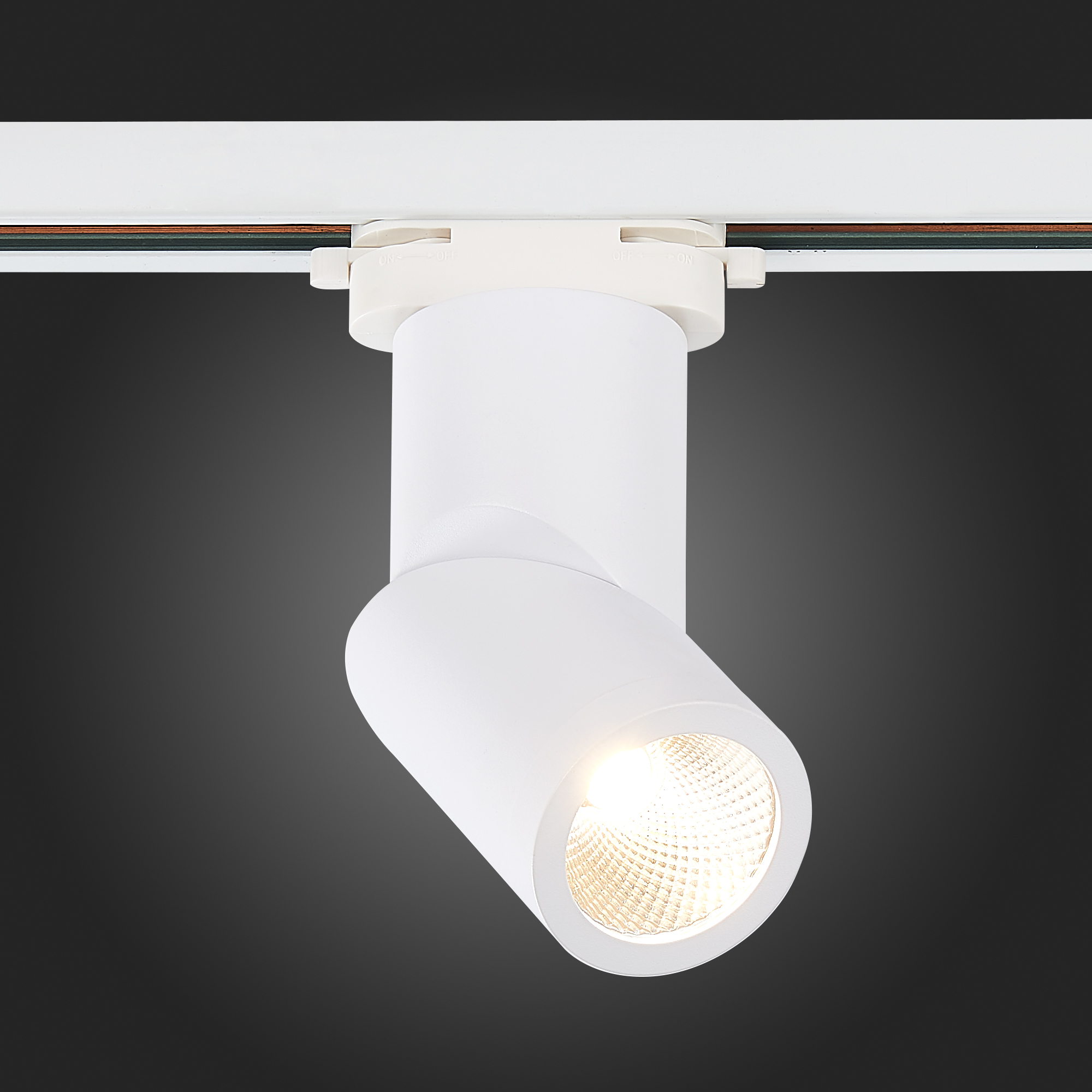 Картинка Трековый светодиодный светильник ST Luce ST650.546.10