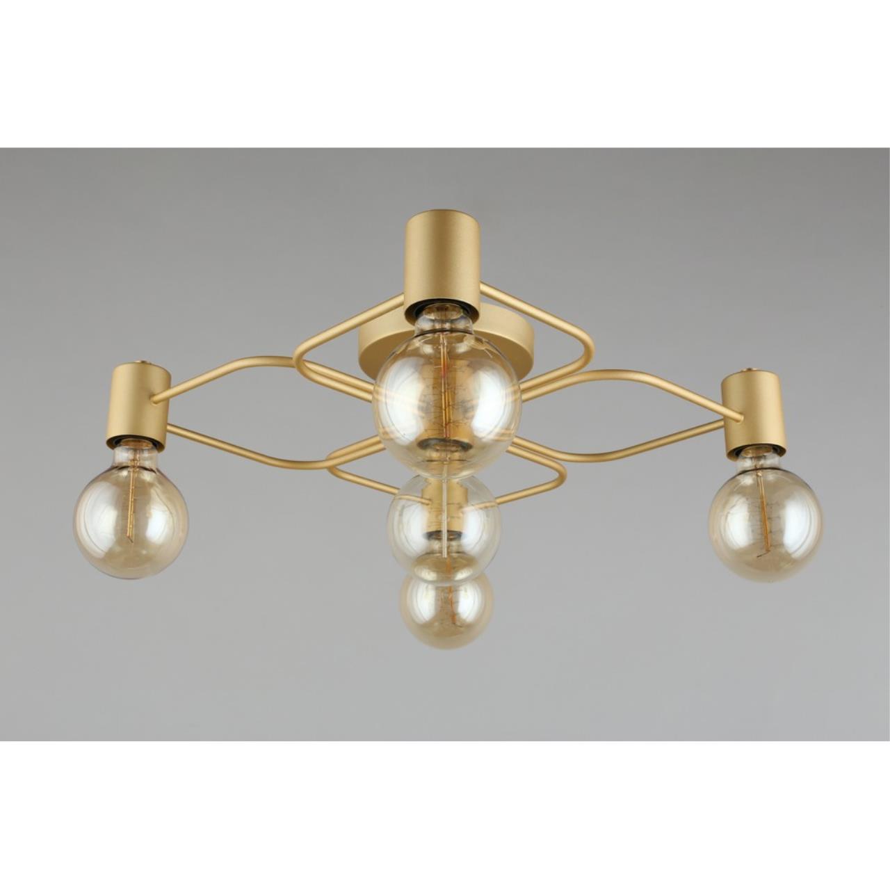 Картинка Потолочная люстра Aployt Elison APL.911.07.05