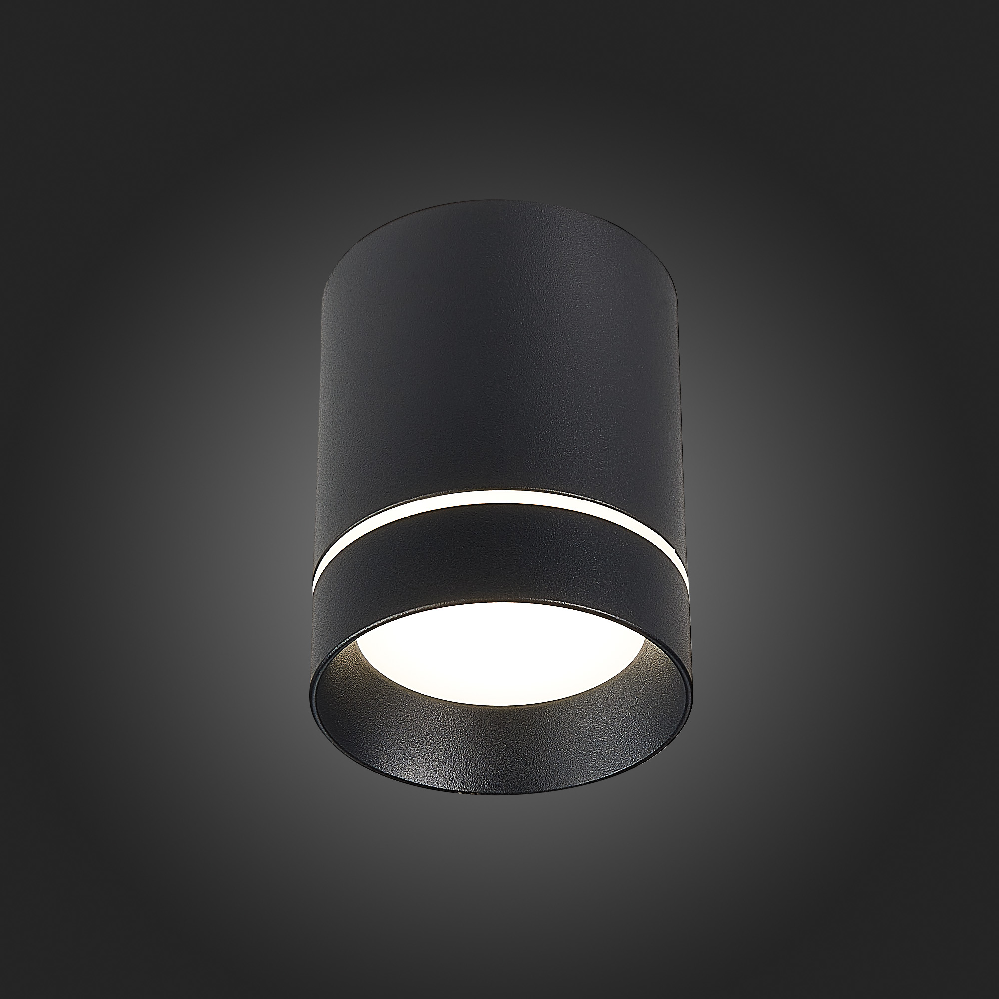 Картинка Потолочный светодиодный светильник ST Luce ST115.432.12
