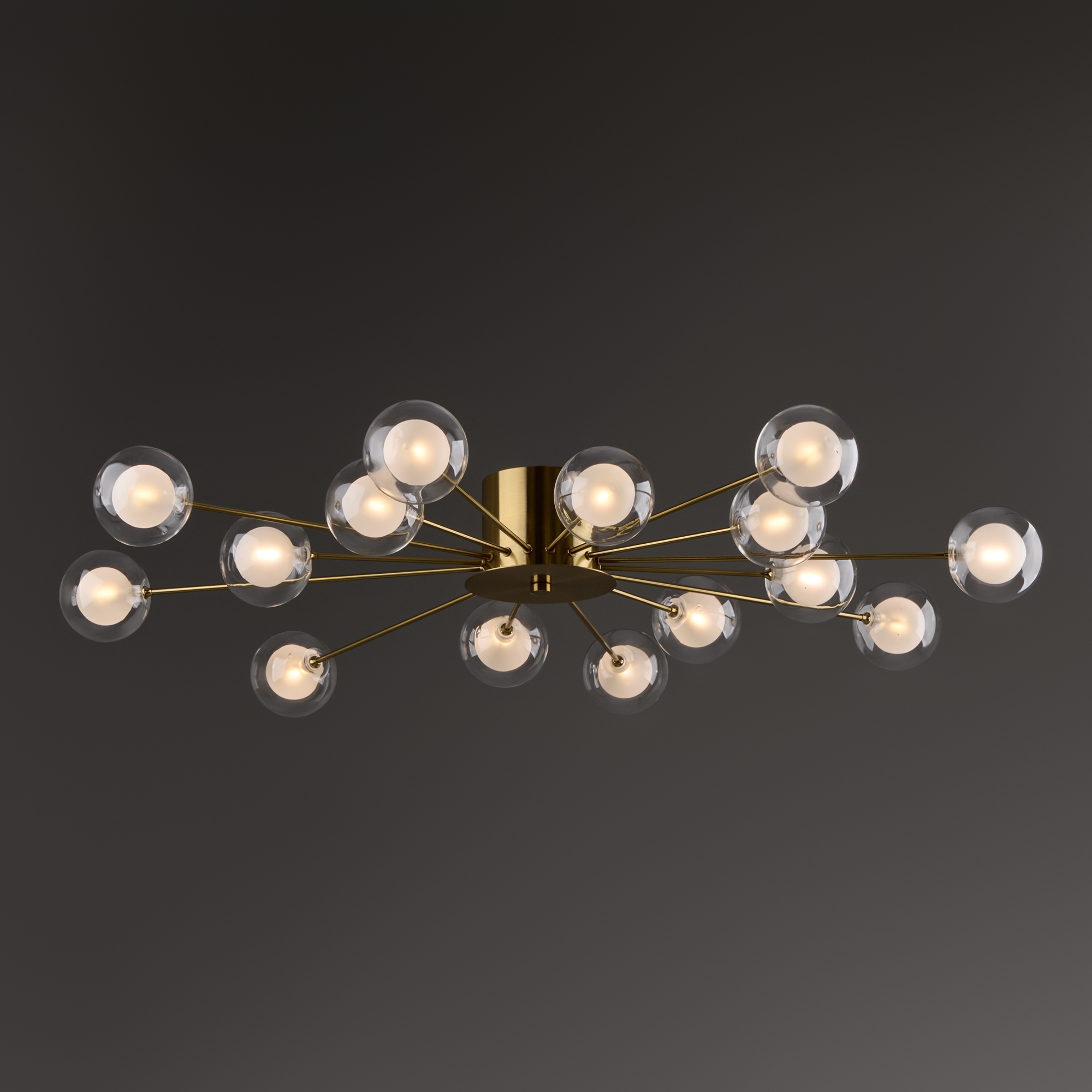 Картинка Потолочная люстра Freya FR5242CL-16BS1