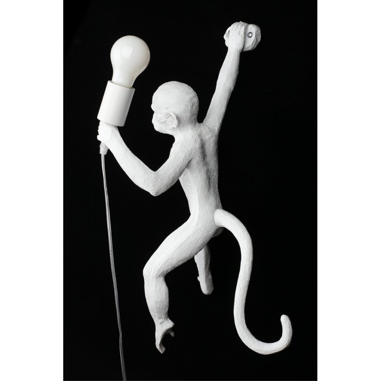 Картинка APL.309.11.01 Бра настенное Aployt Magali