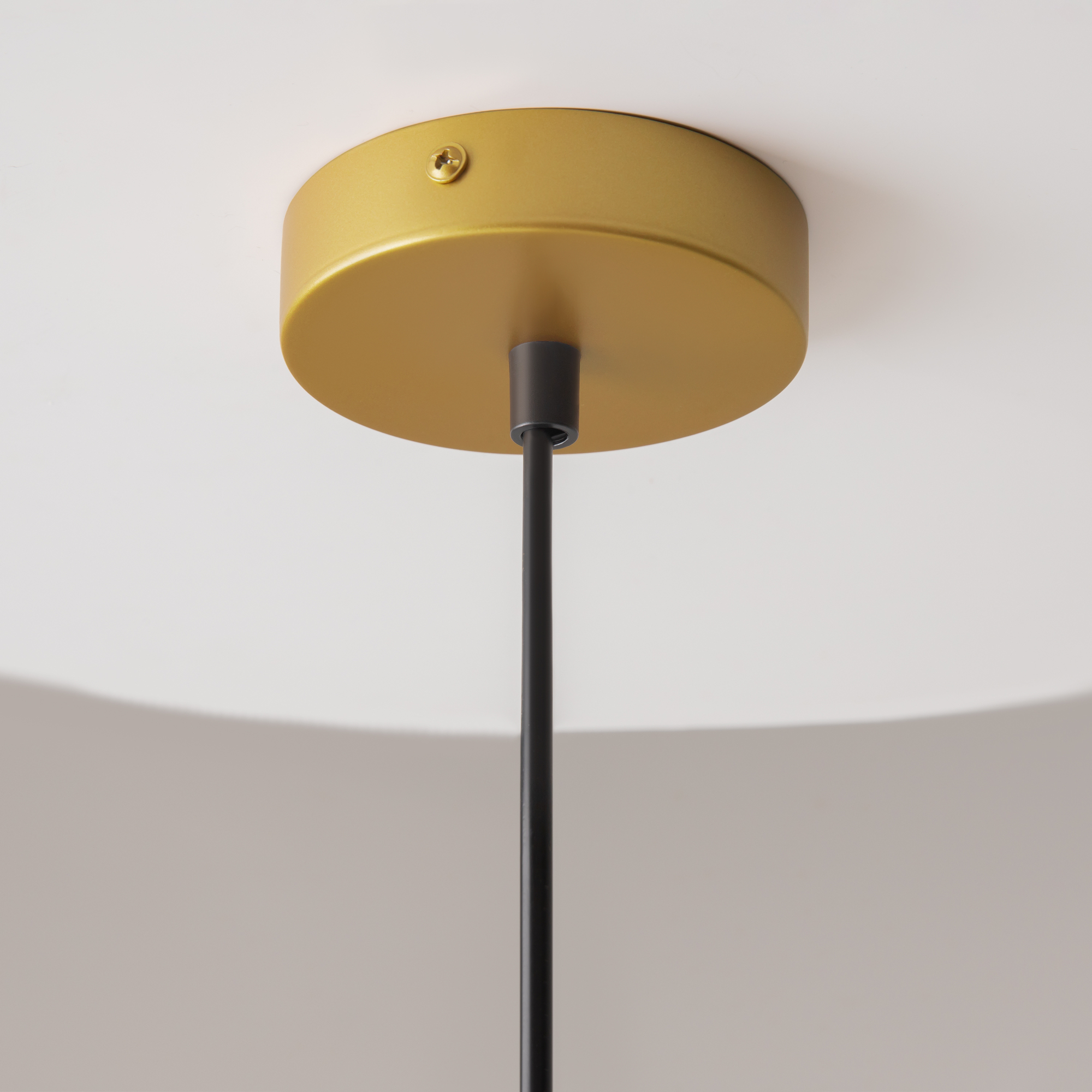 Картинка Подвесной светильник Maytoni Telford P361PL-01G