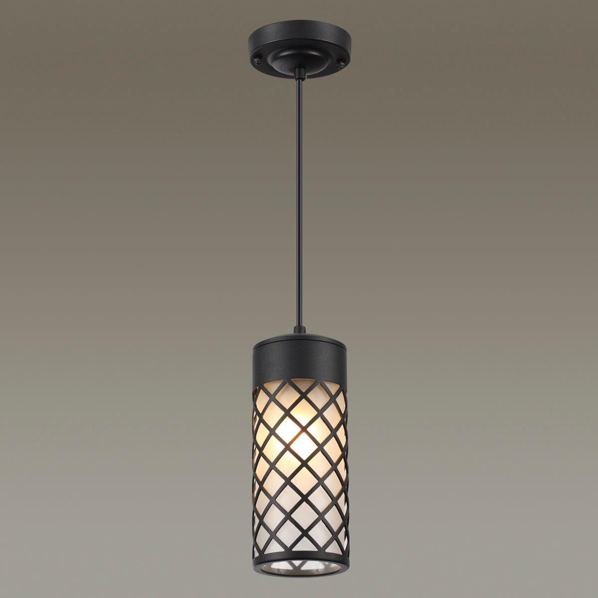Картинка Уличный подвесной светильник Odeon Light Nature Dunes 4834/1