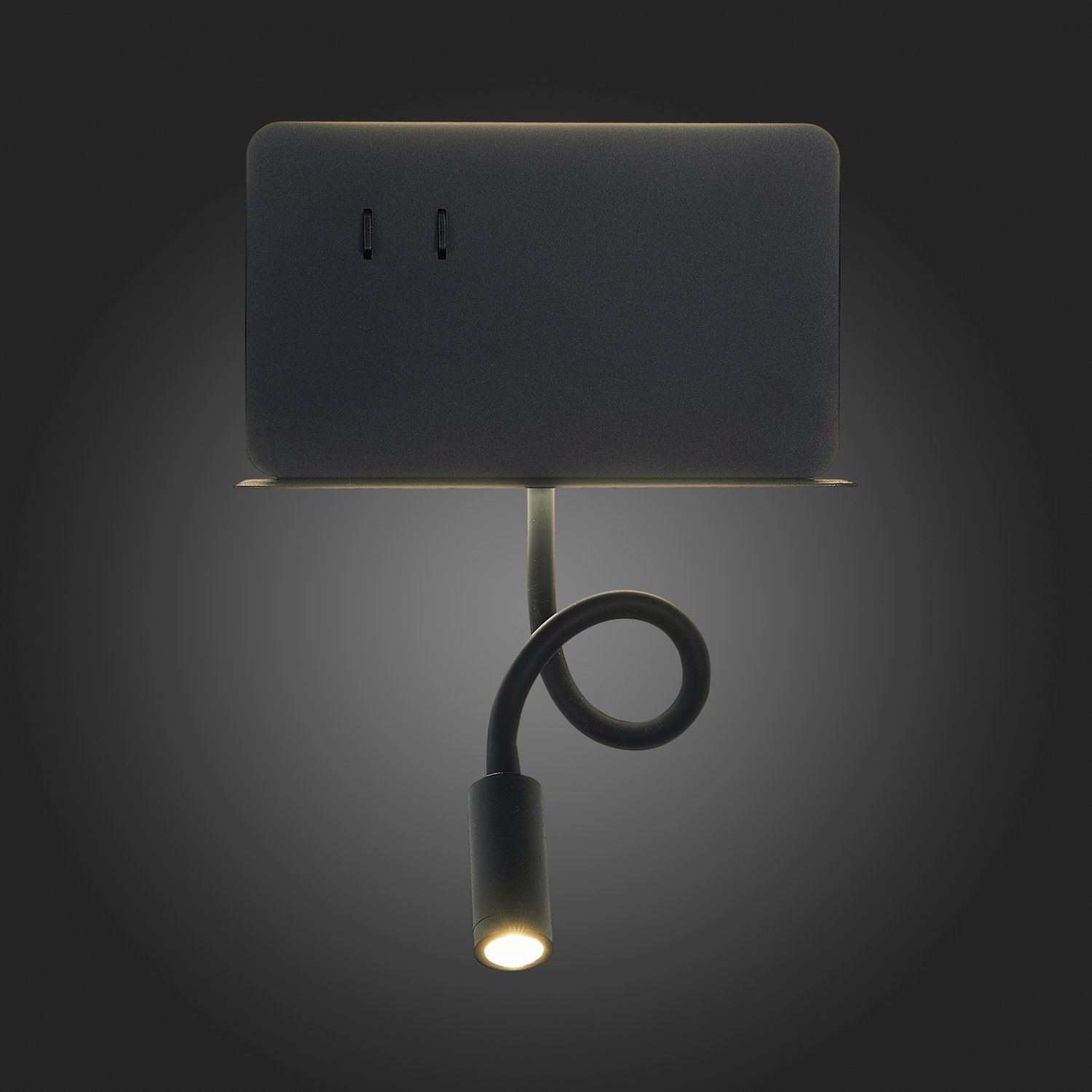 Картинка Настенный светодиодный светильник ST Luce Pinaggio SL1576.401.02