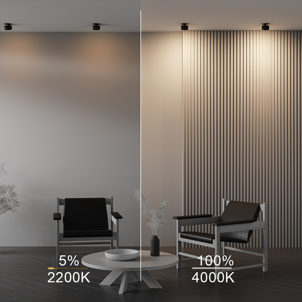 Картинка Встраиваемый светильник Technical DL024-12W-DTW-B