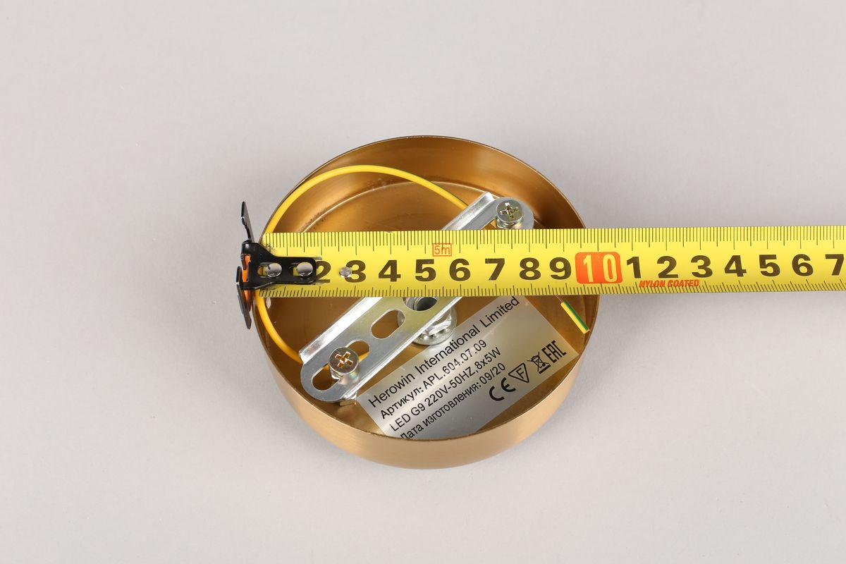 Картинка Подвесная люстра Aployt Oliwia APL.604.07.09