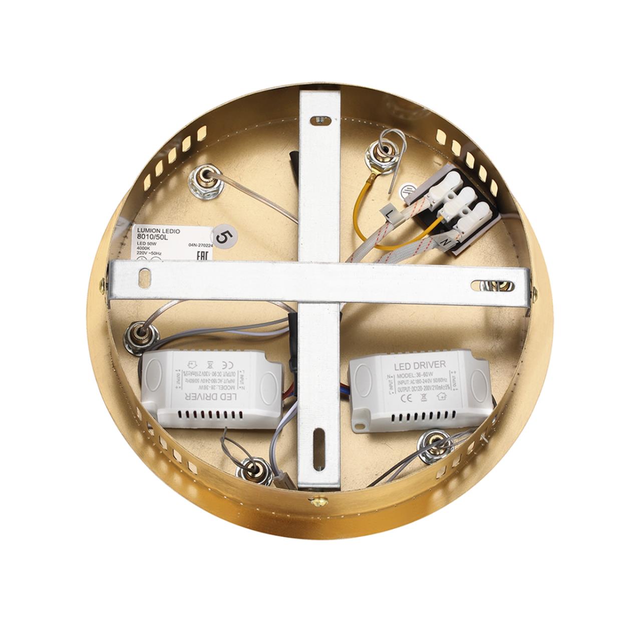 Картинка 8010/50L Lumion Люстра TWINKLE