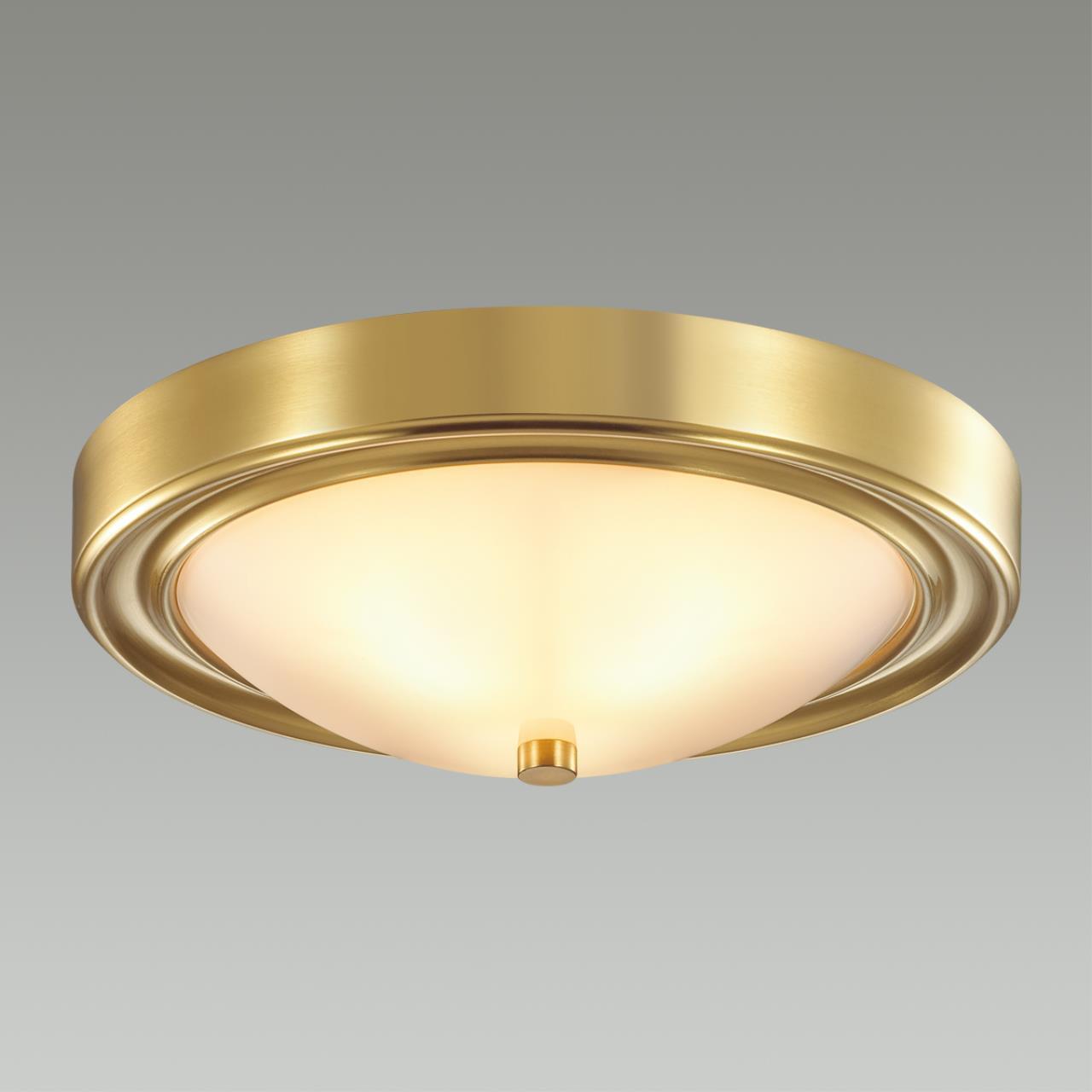 Картинка Настенно-потолочный светильник Lumion Vintage Nina 5259/2C